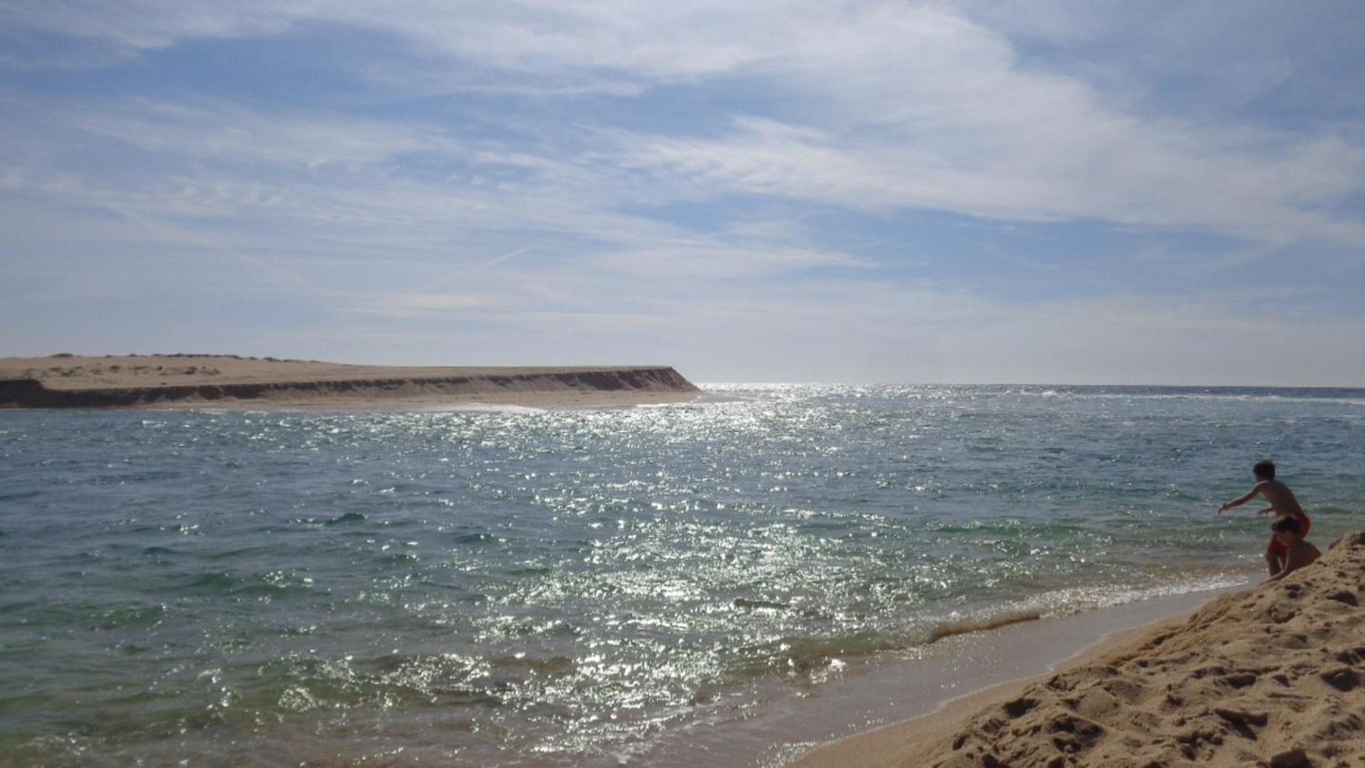 Photo 44