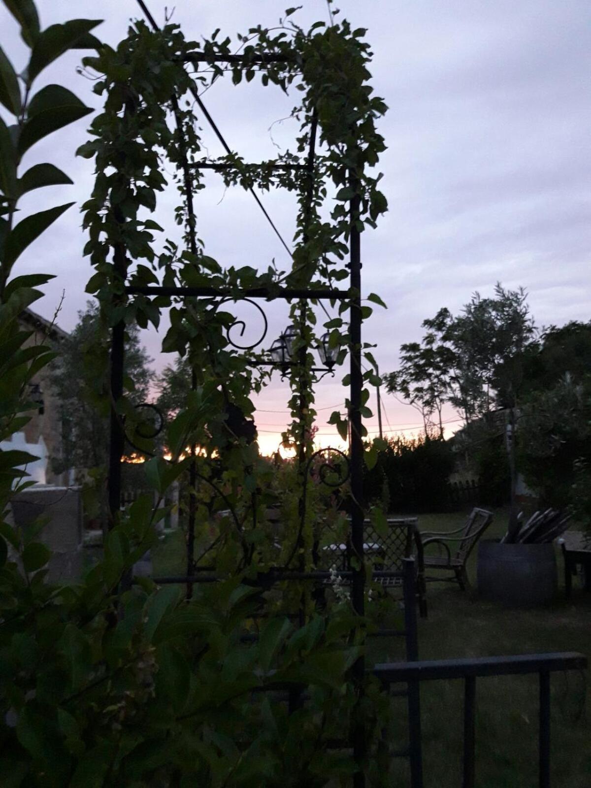 Photo 45