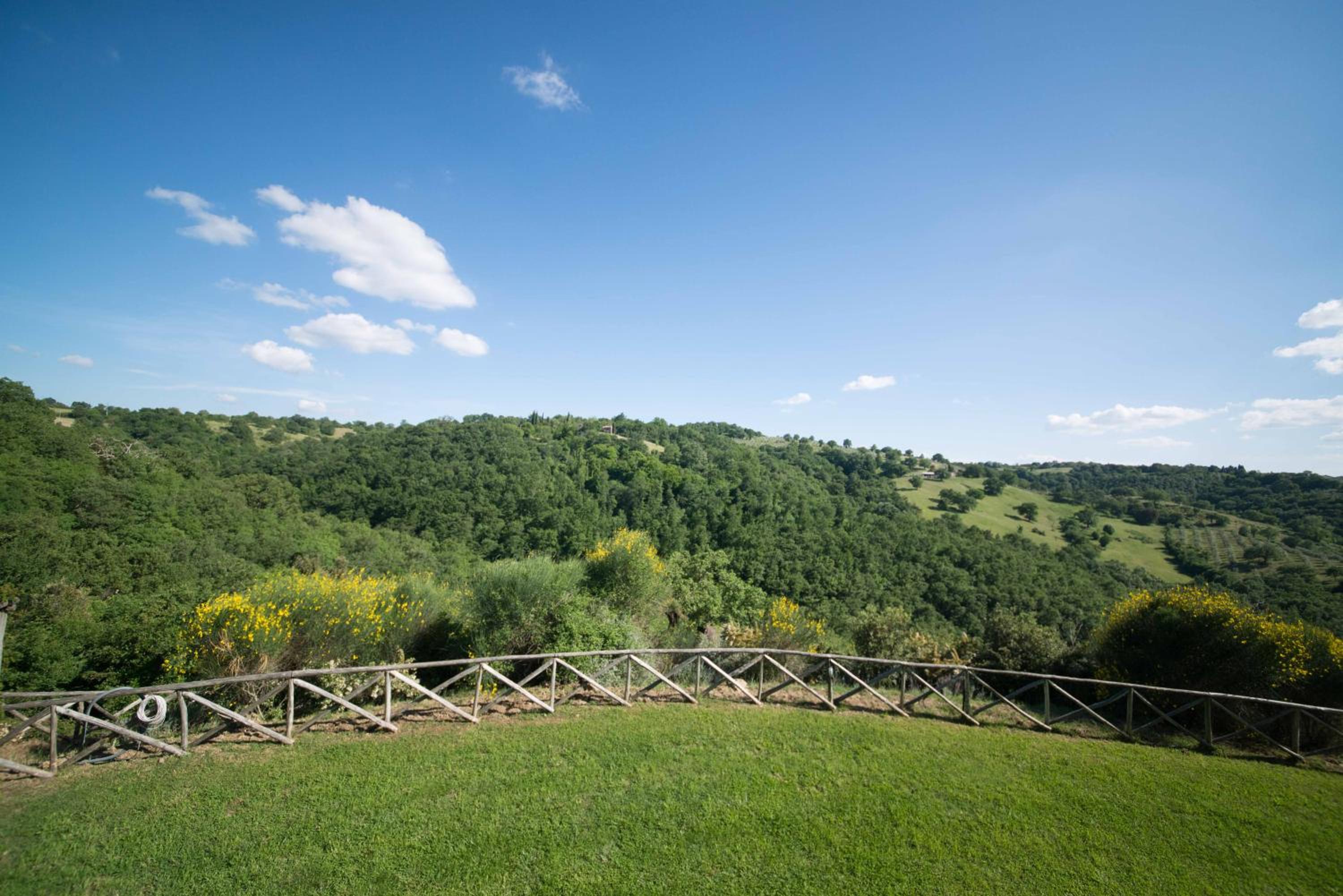 Home with a view in Scansano, Tuscany view 5