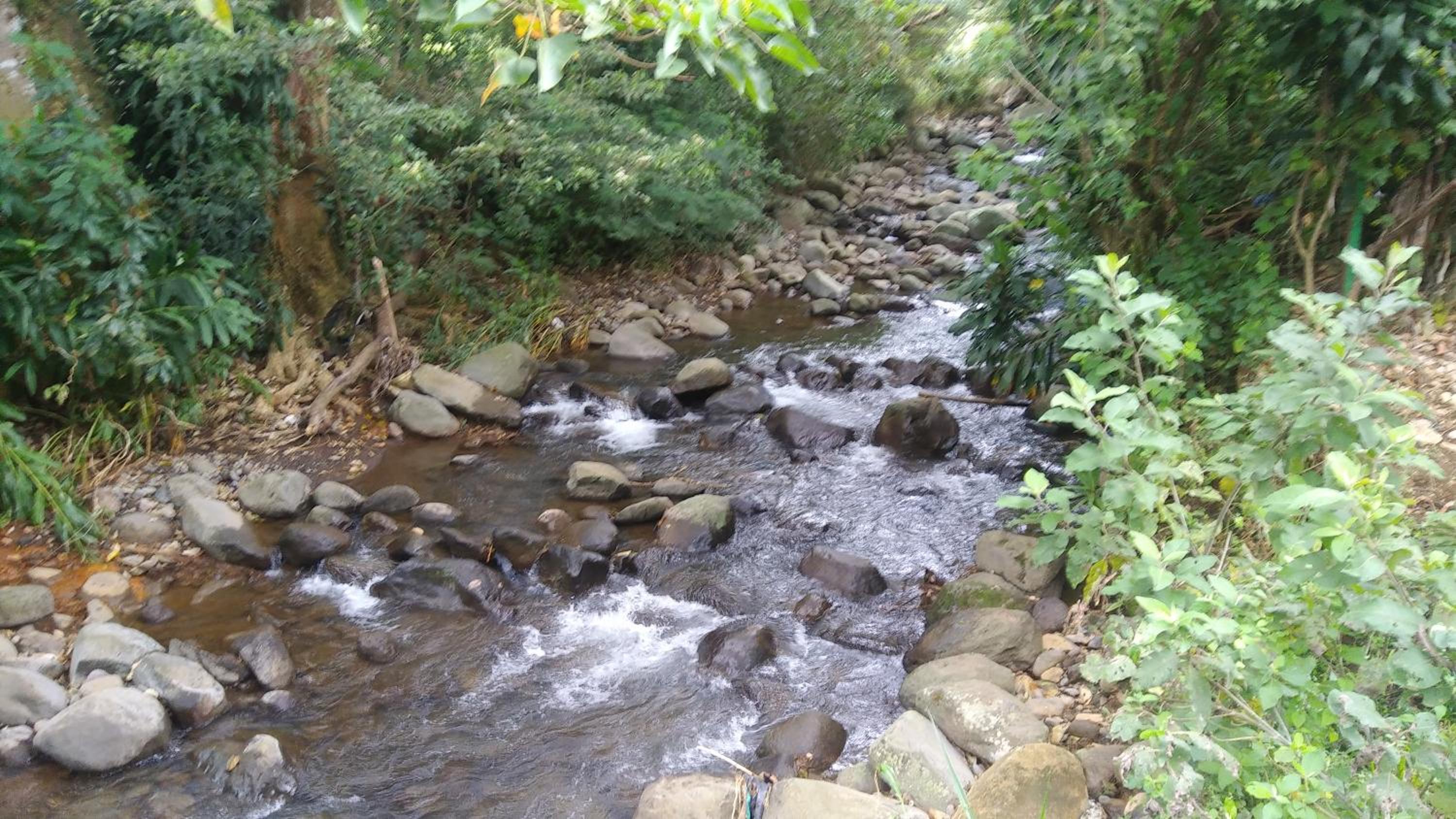 Photo 27