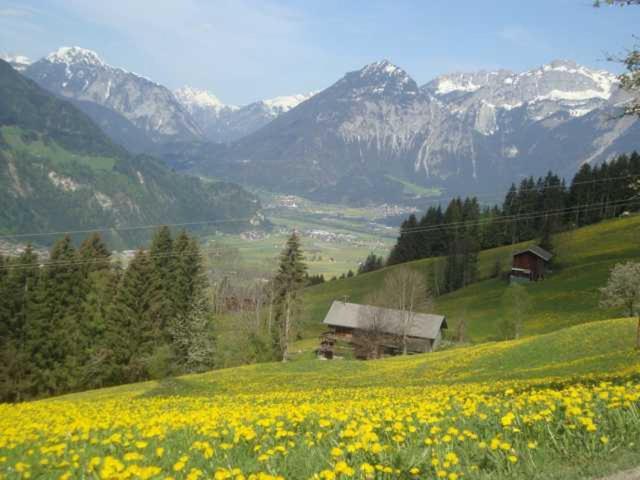 Photo 25