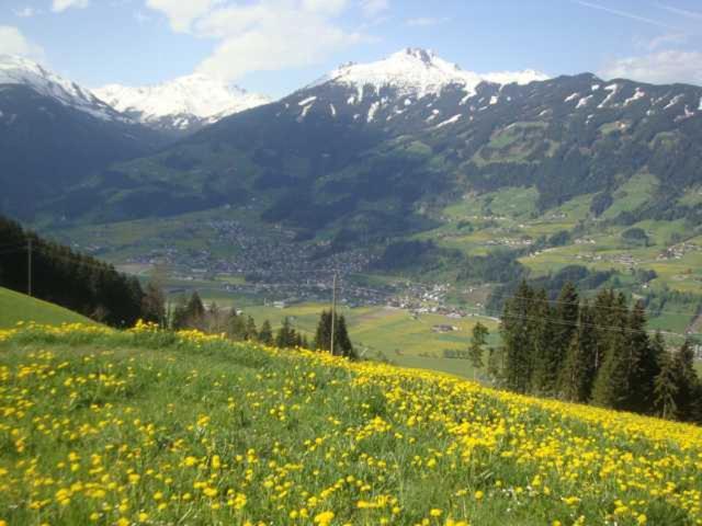 Photo 24