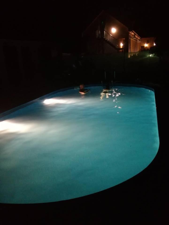 Photo 31