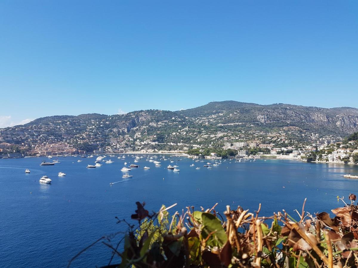 Les Palmiers