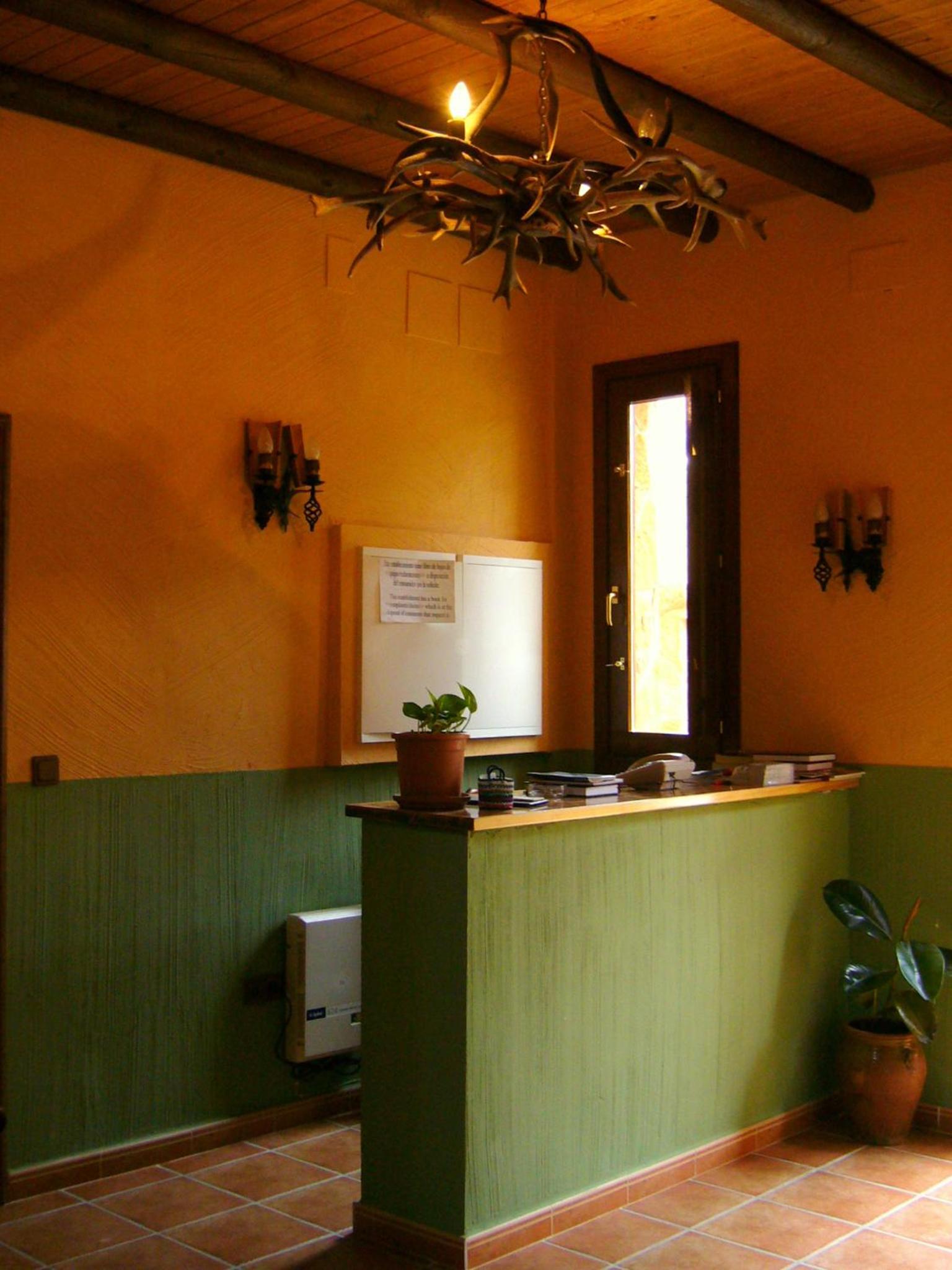 Photo 45