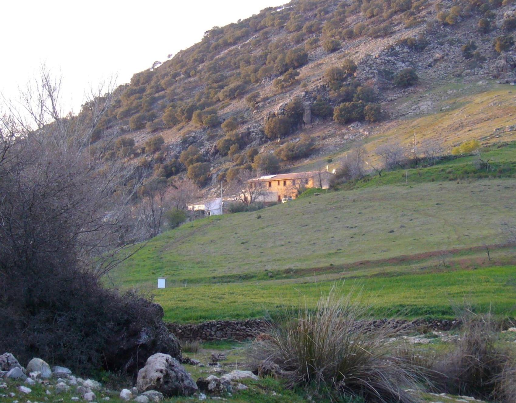 Photo 54