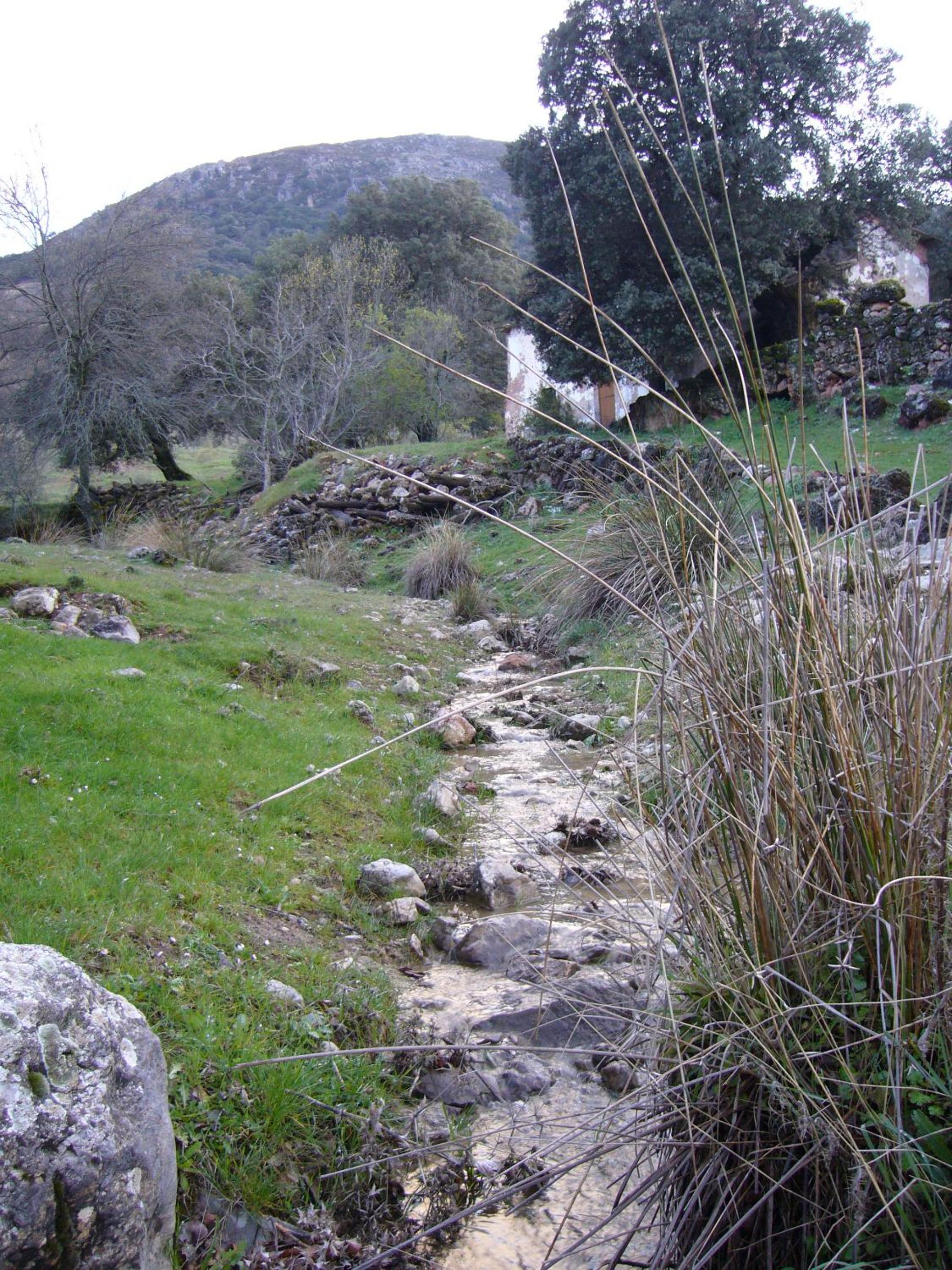 Photo 57