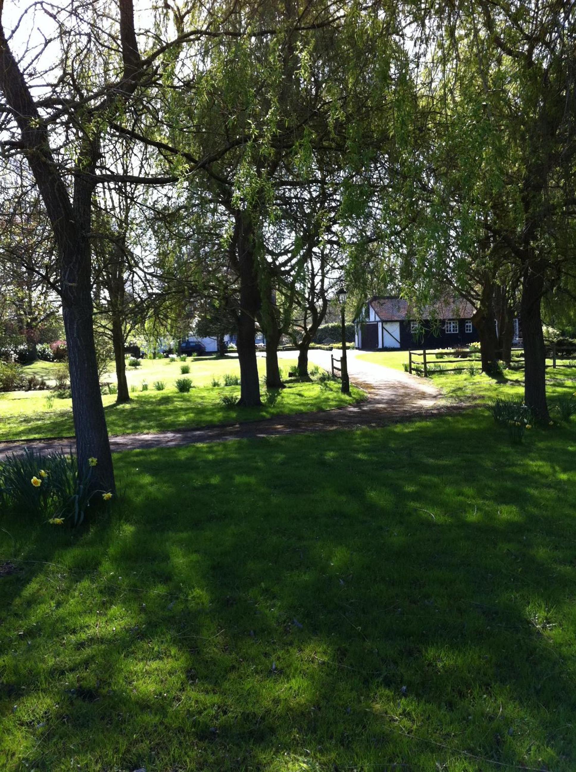 Photo 23