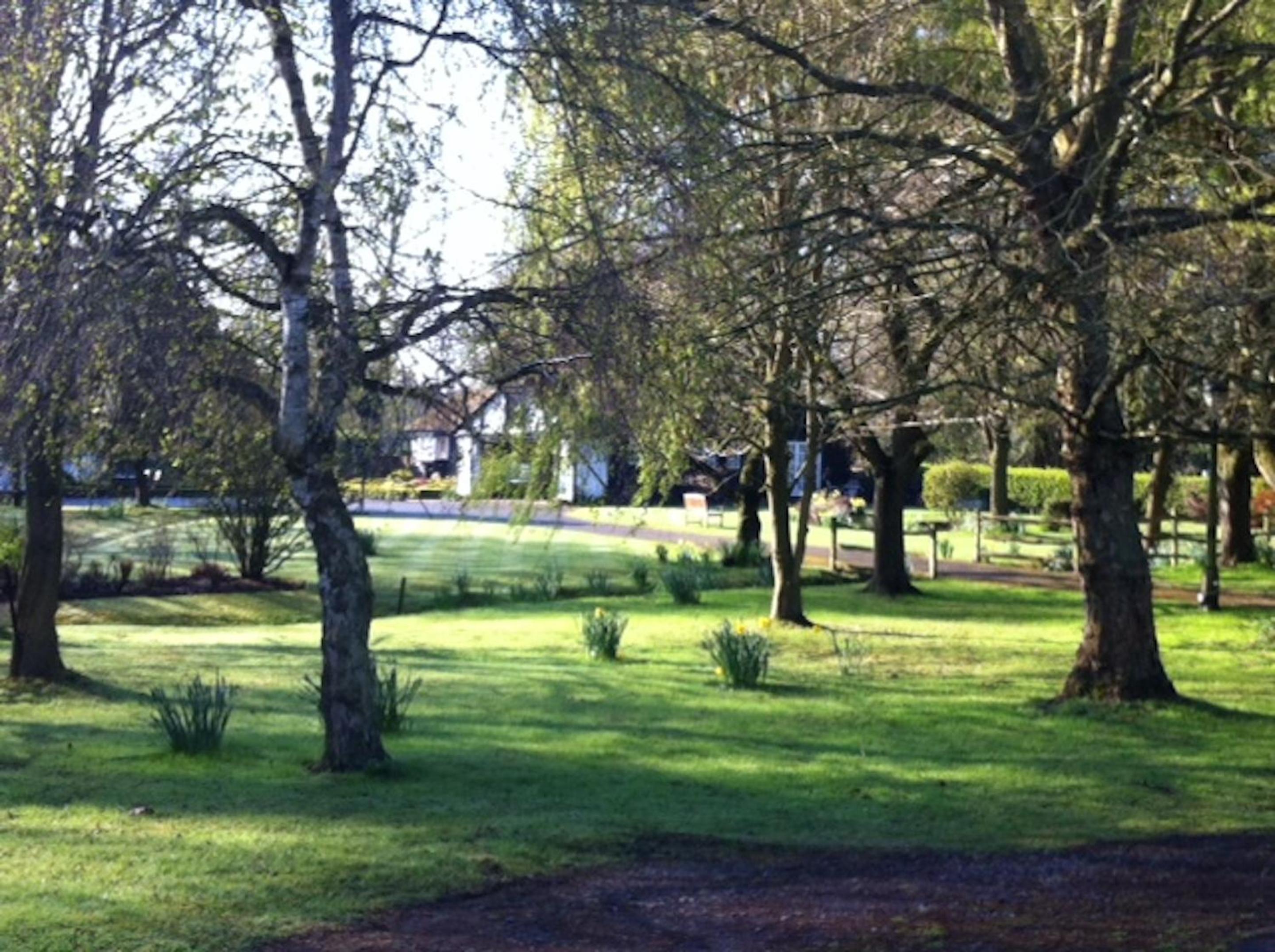 Photo 22