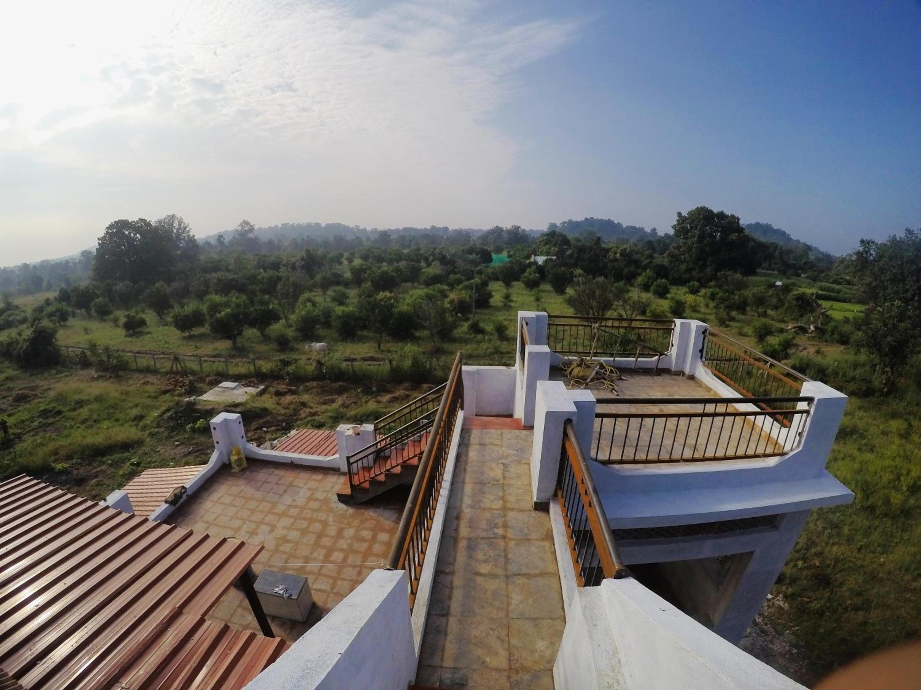 roof