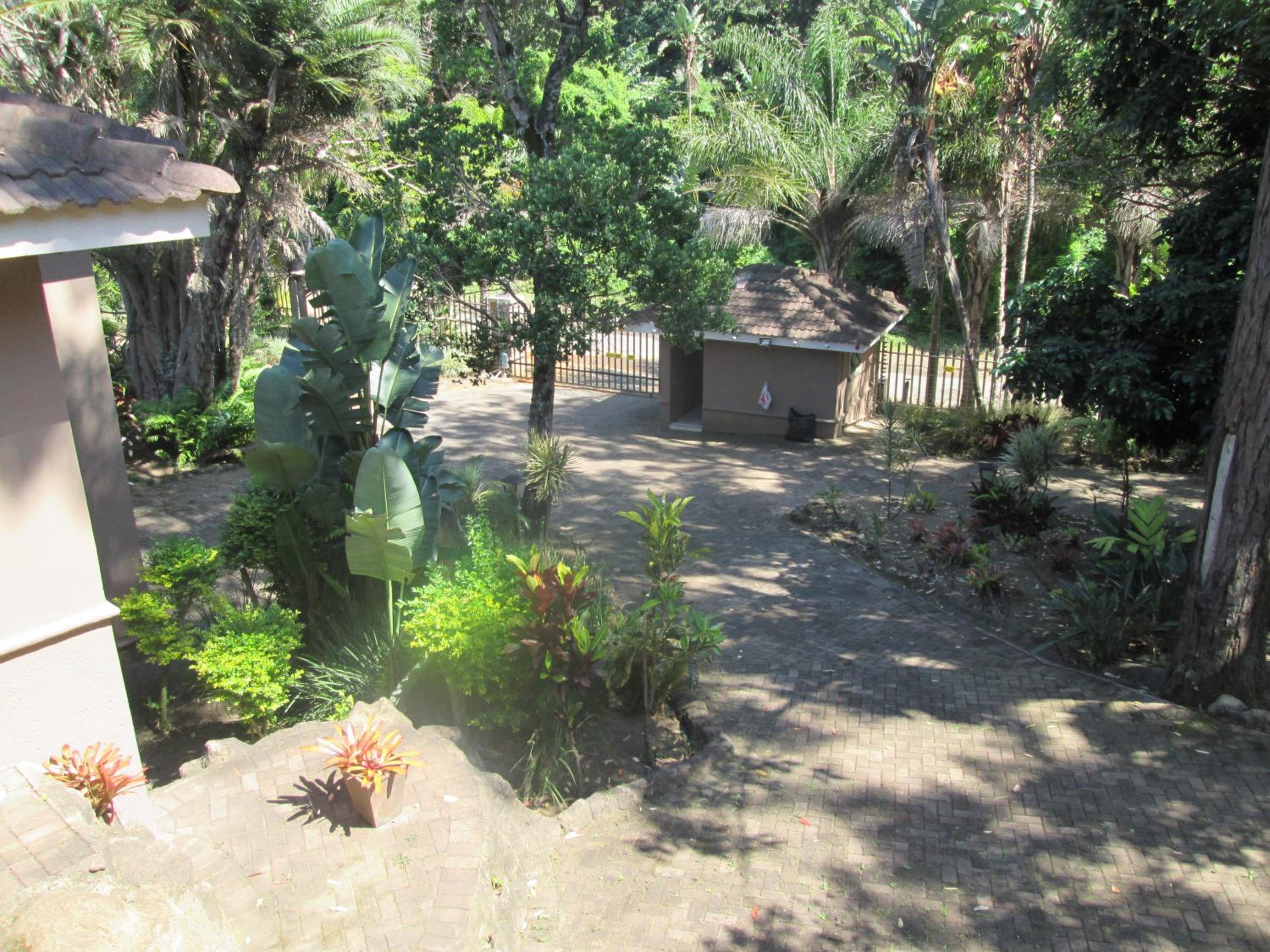 Photo 13