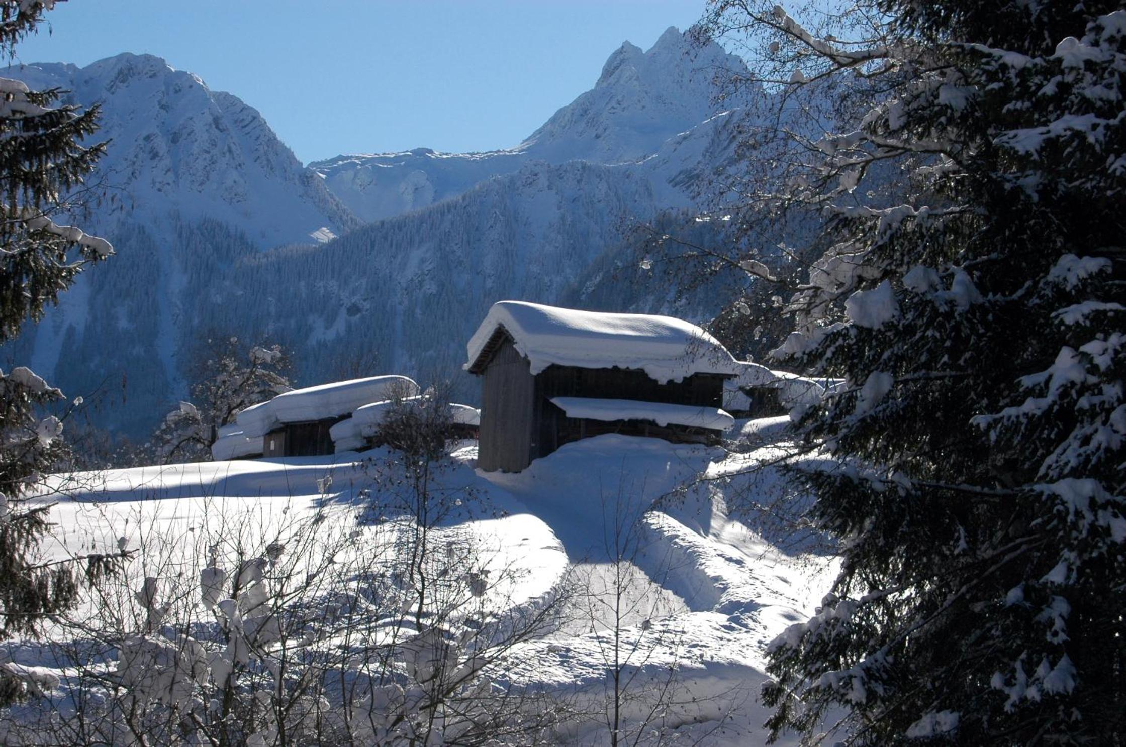Alpenstern