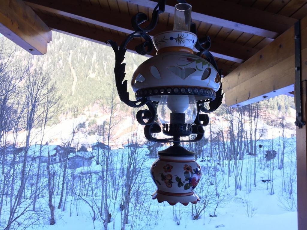 Alpenstern