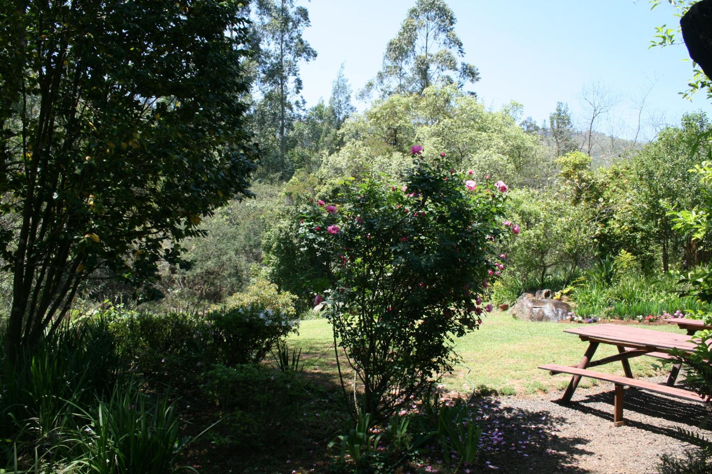 Photo 39