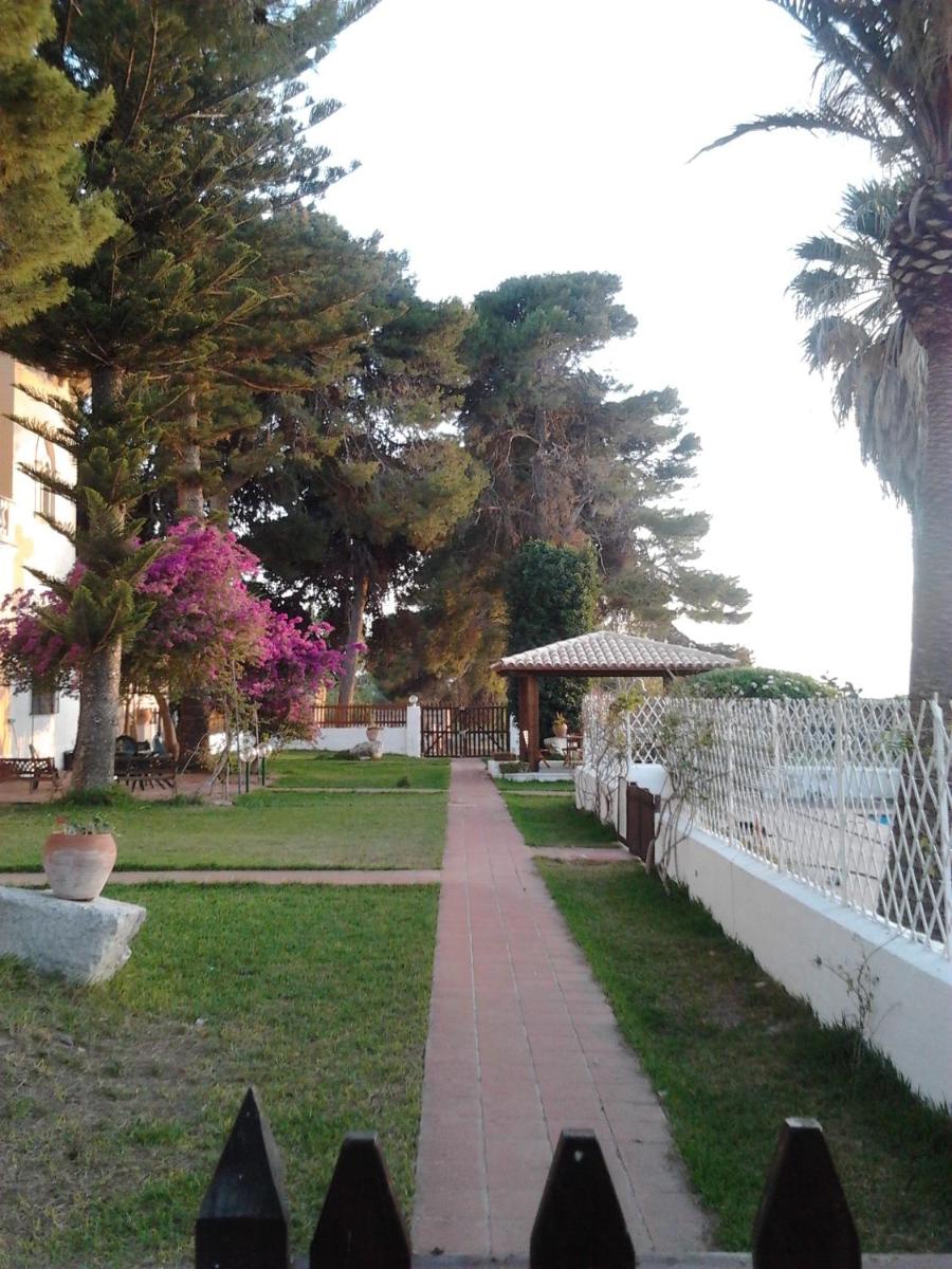 Photo 40