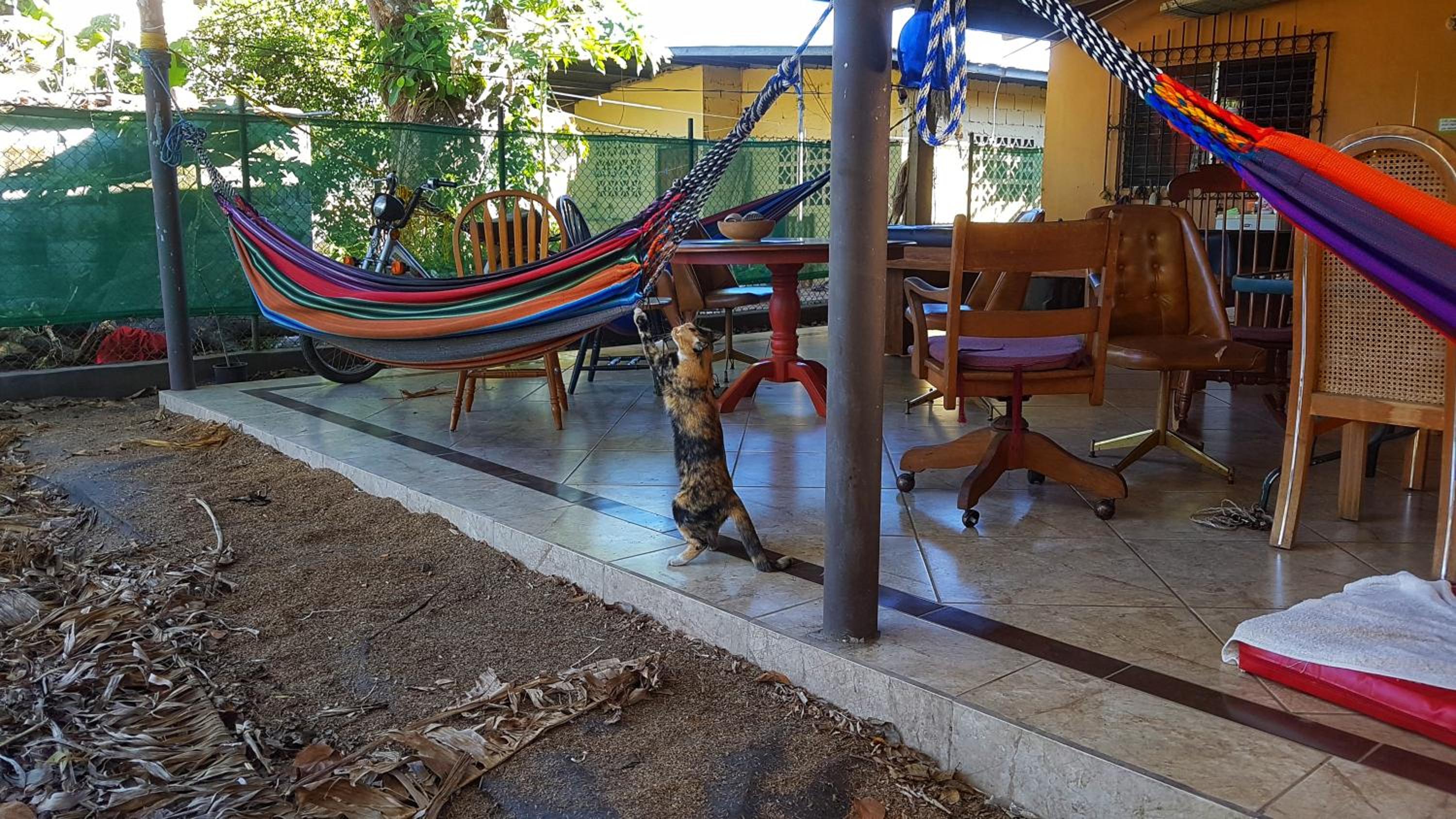 PaCasa Hostel, photo 46