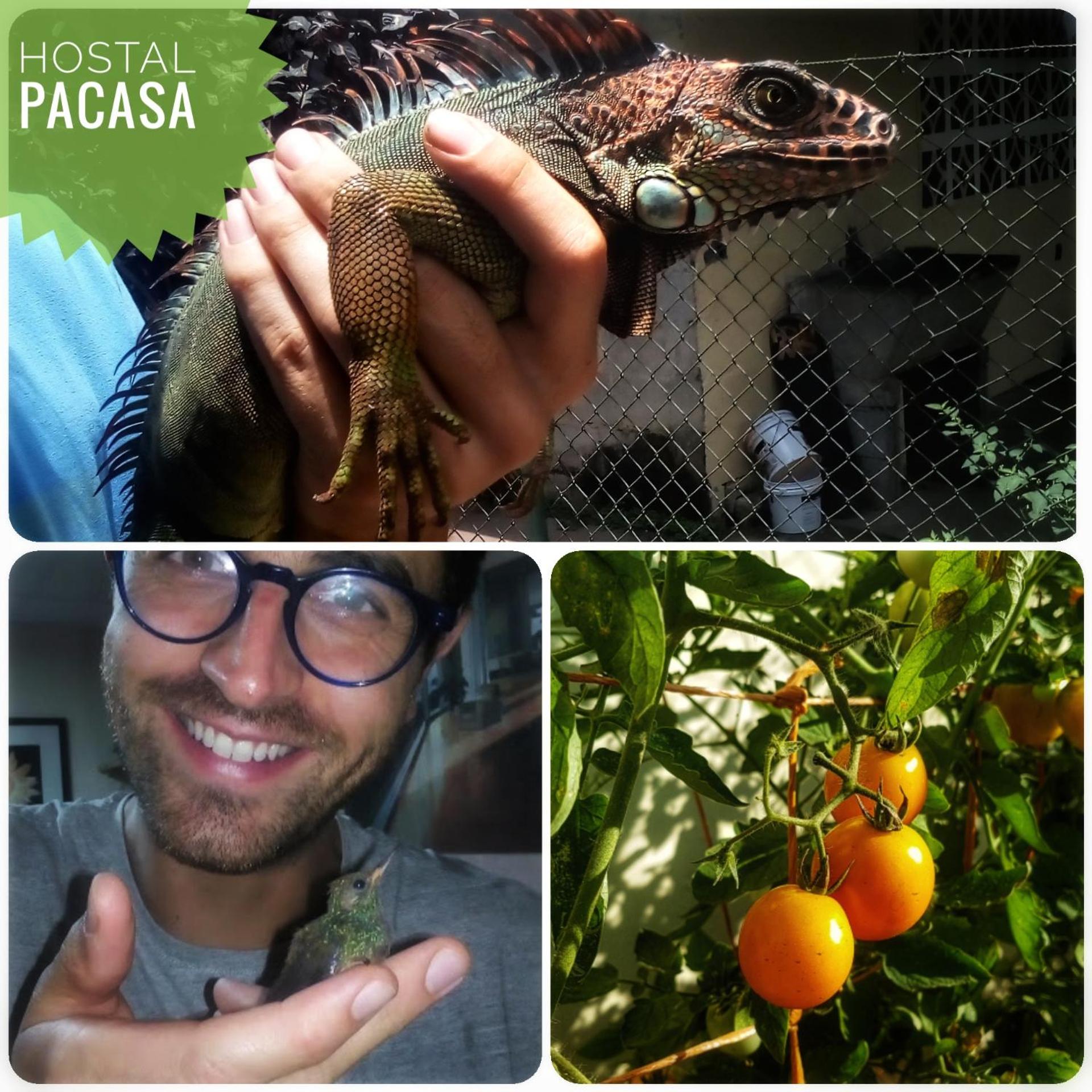 PaCasa Hostel, photo 45