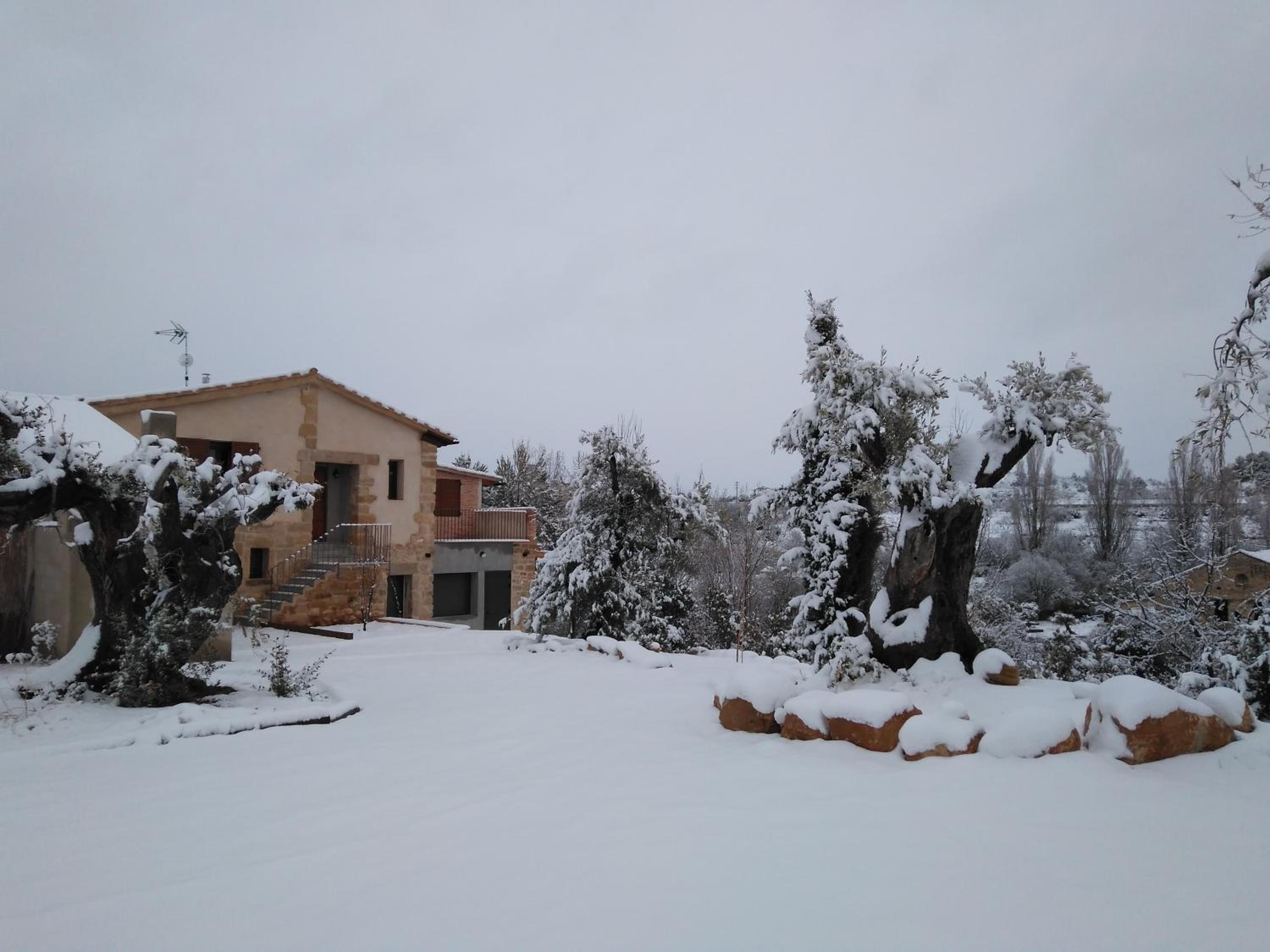 Photo 23