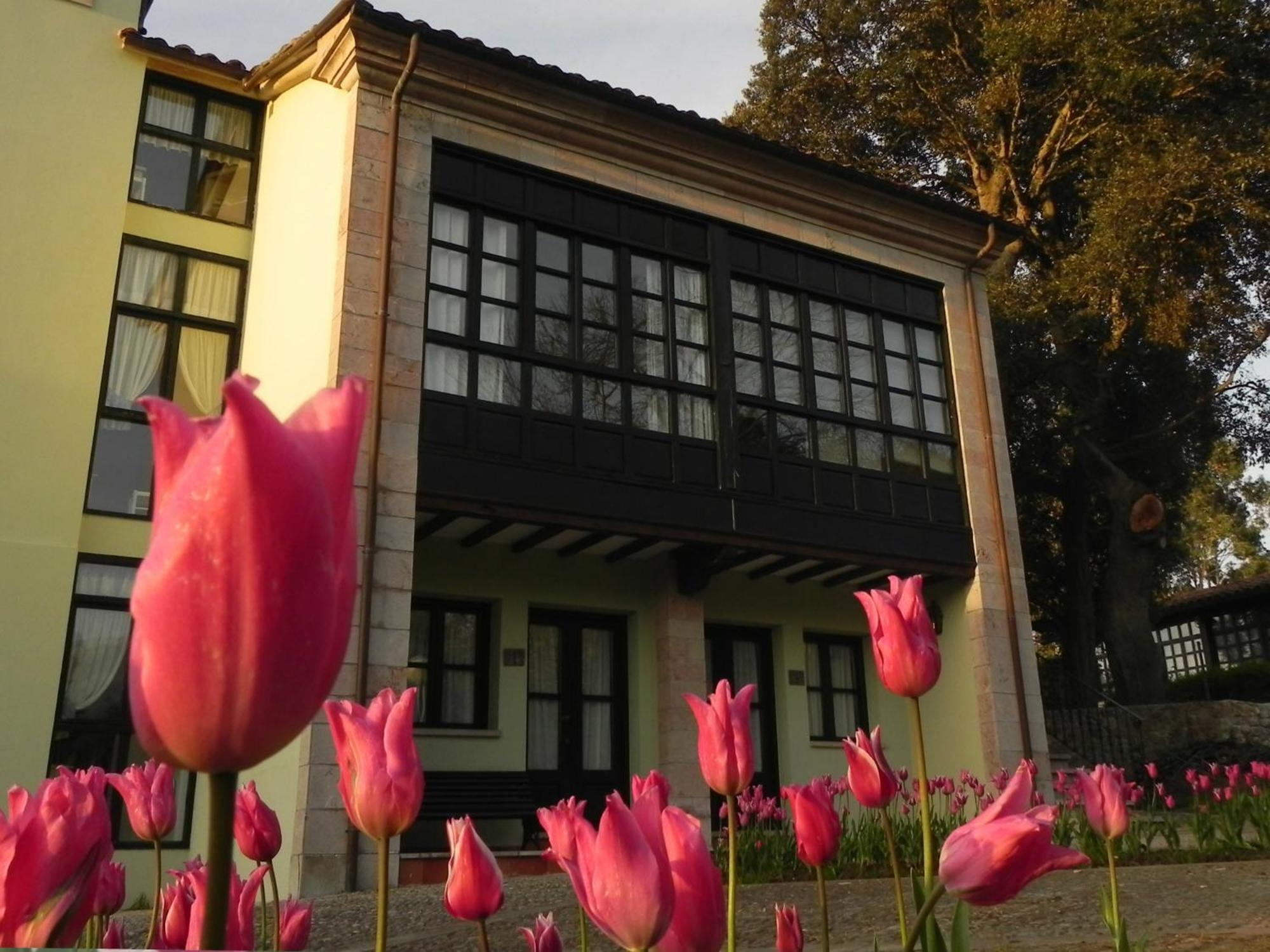 Apartamentos Turísticos Las Nieves