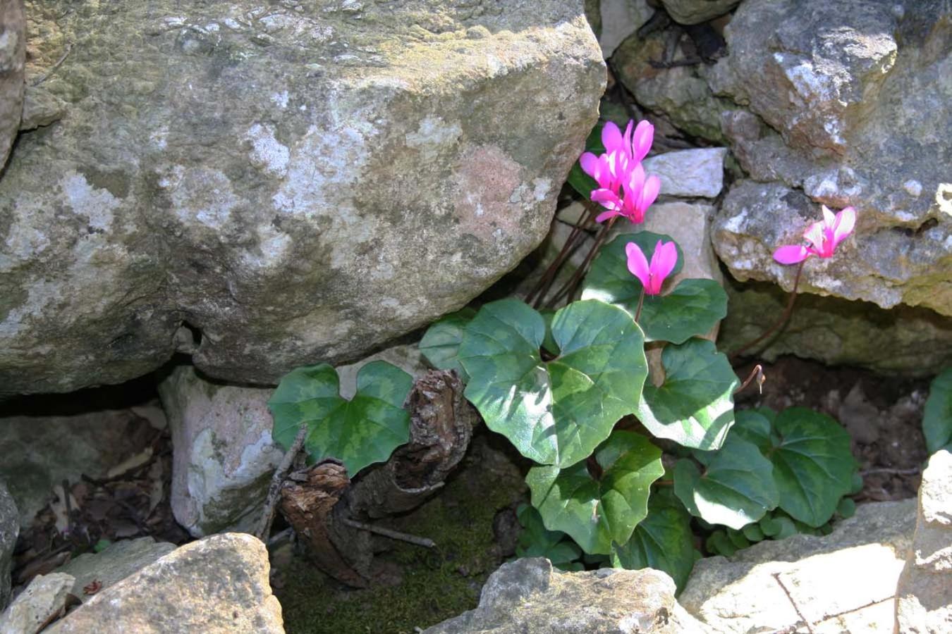 Photo 32