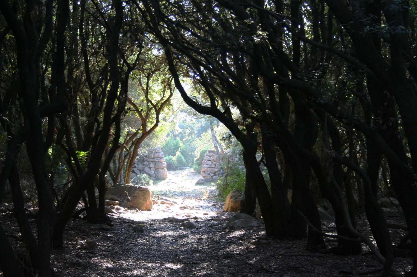 Photo 34
