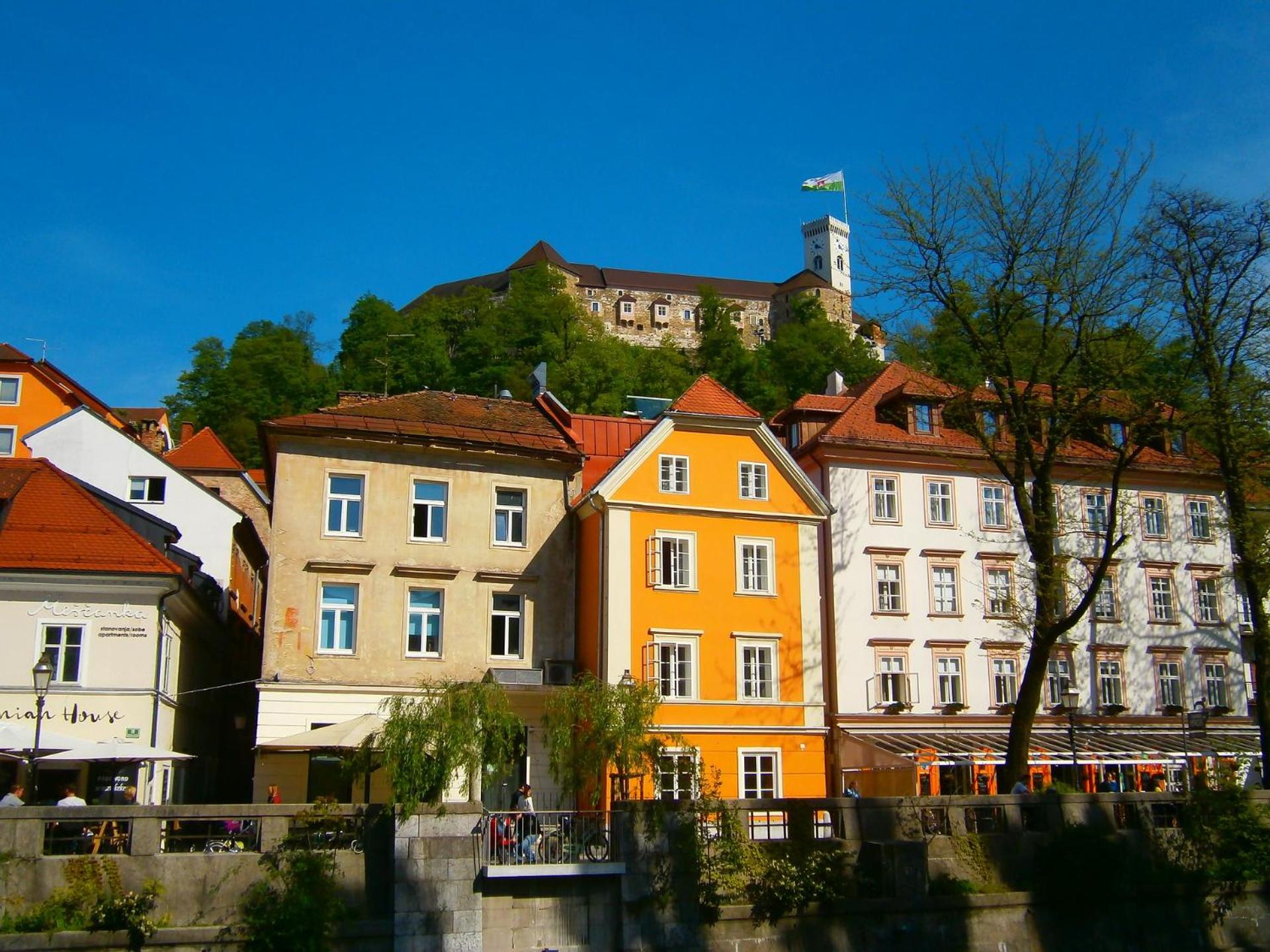Photo 46
