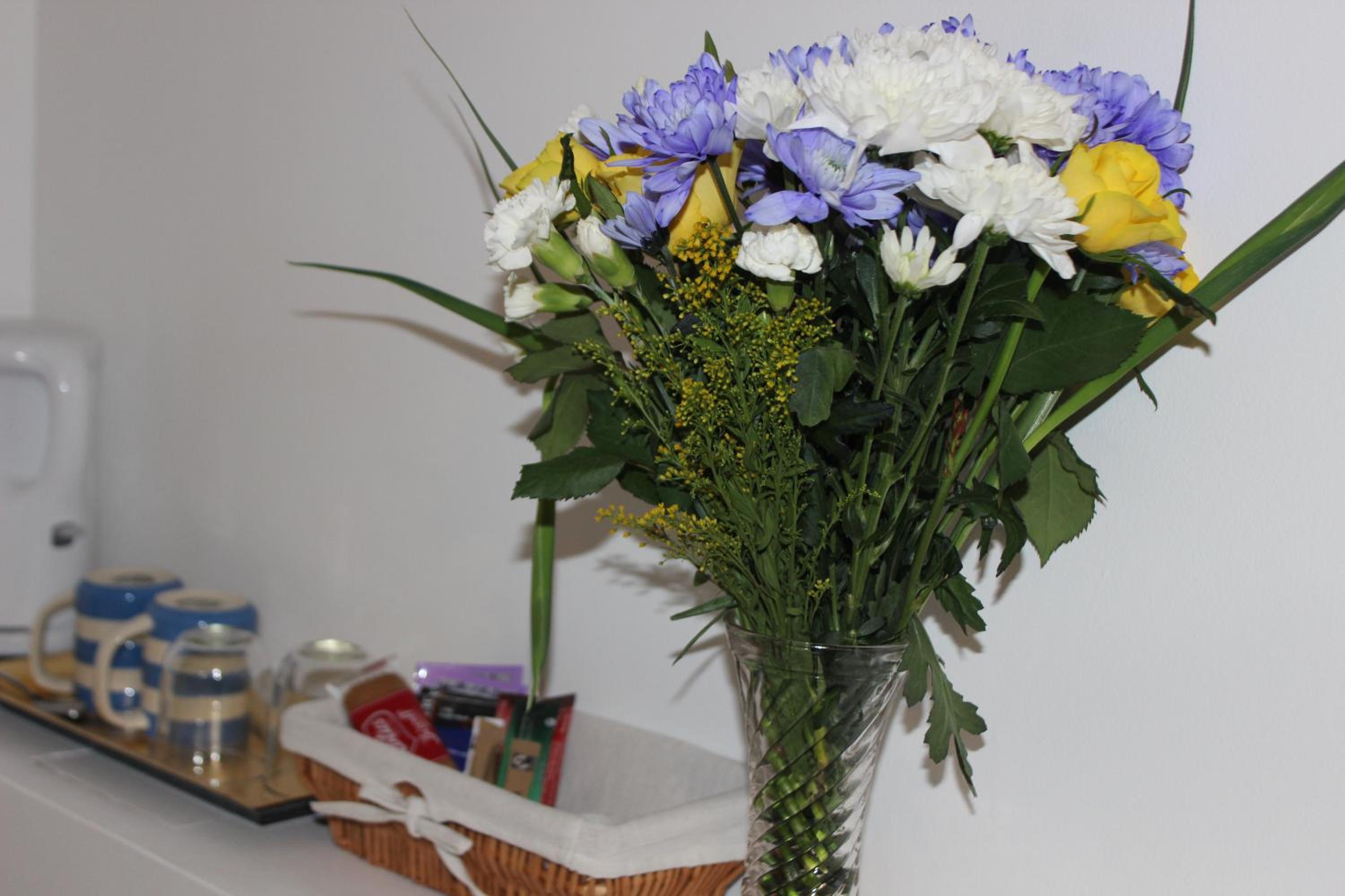 Looe Vacations - Silver Birch Guesthouse - Property Image 33