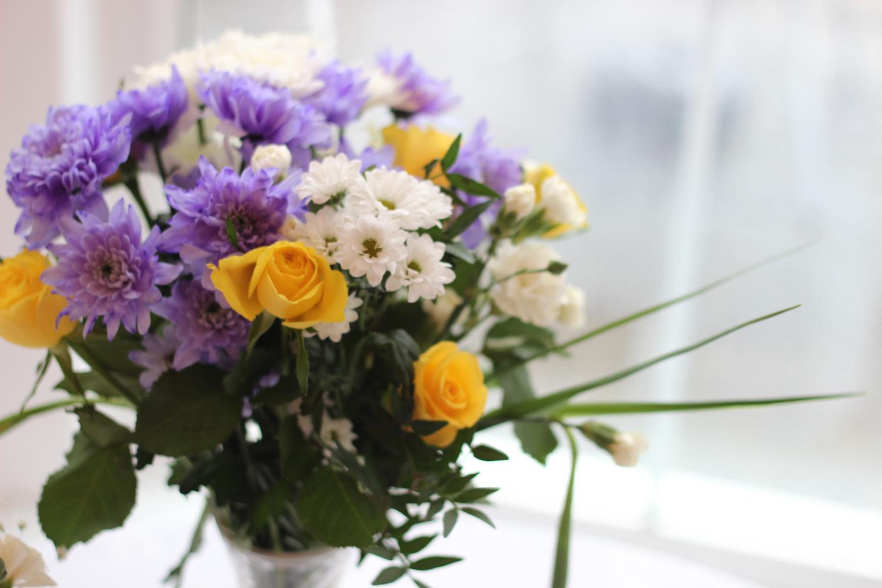 Looe Vacations - Silver Birch Guesthouse - Property Image 9