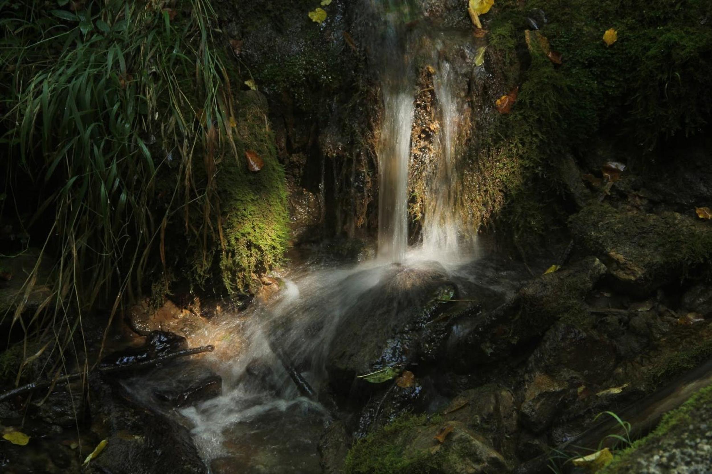 Photo 47