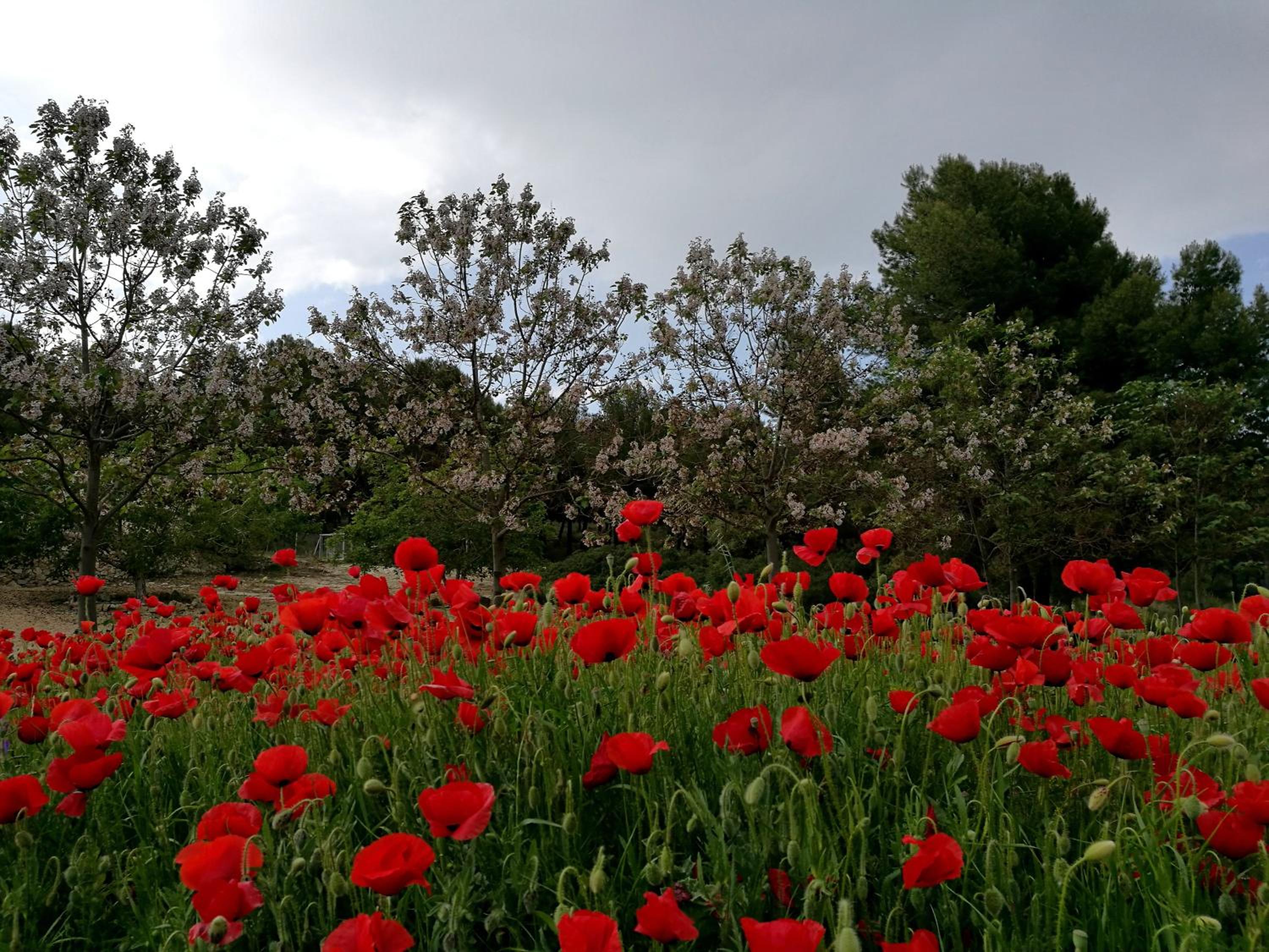 Finca La Celada