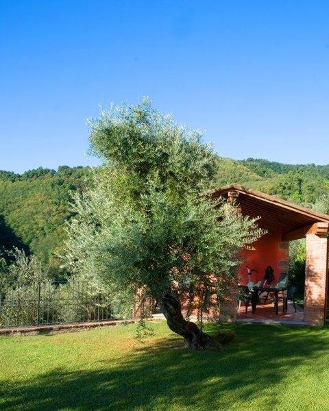 L'Agrumeto view 5