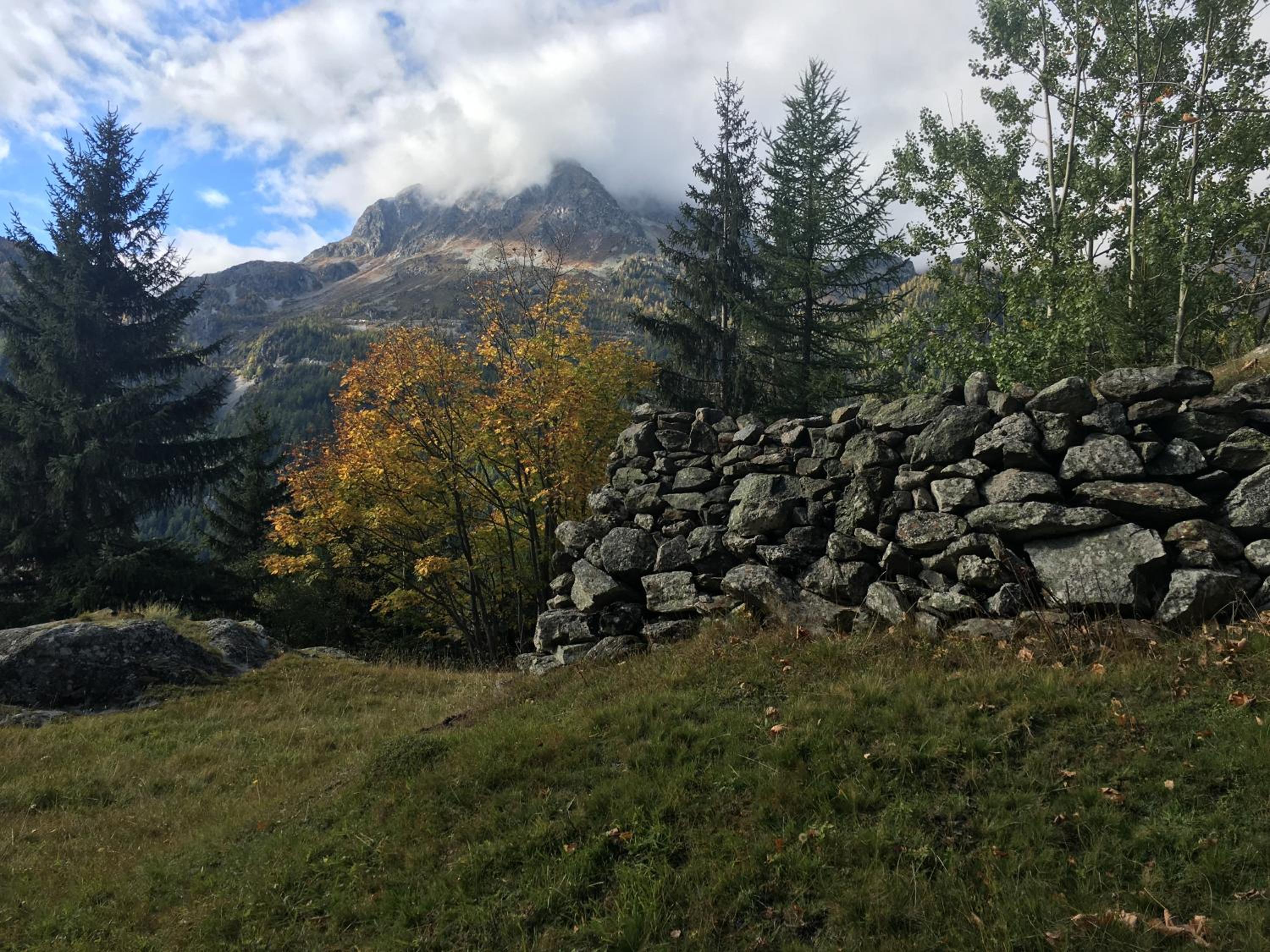 Photo 46