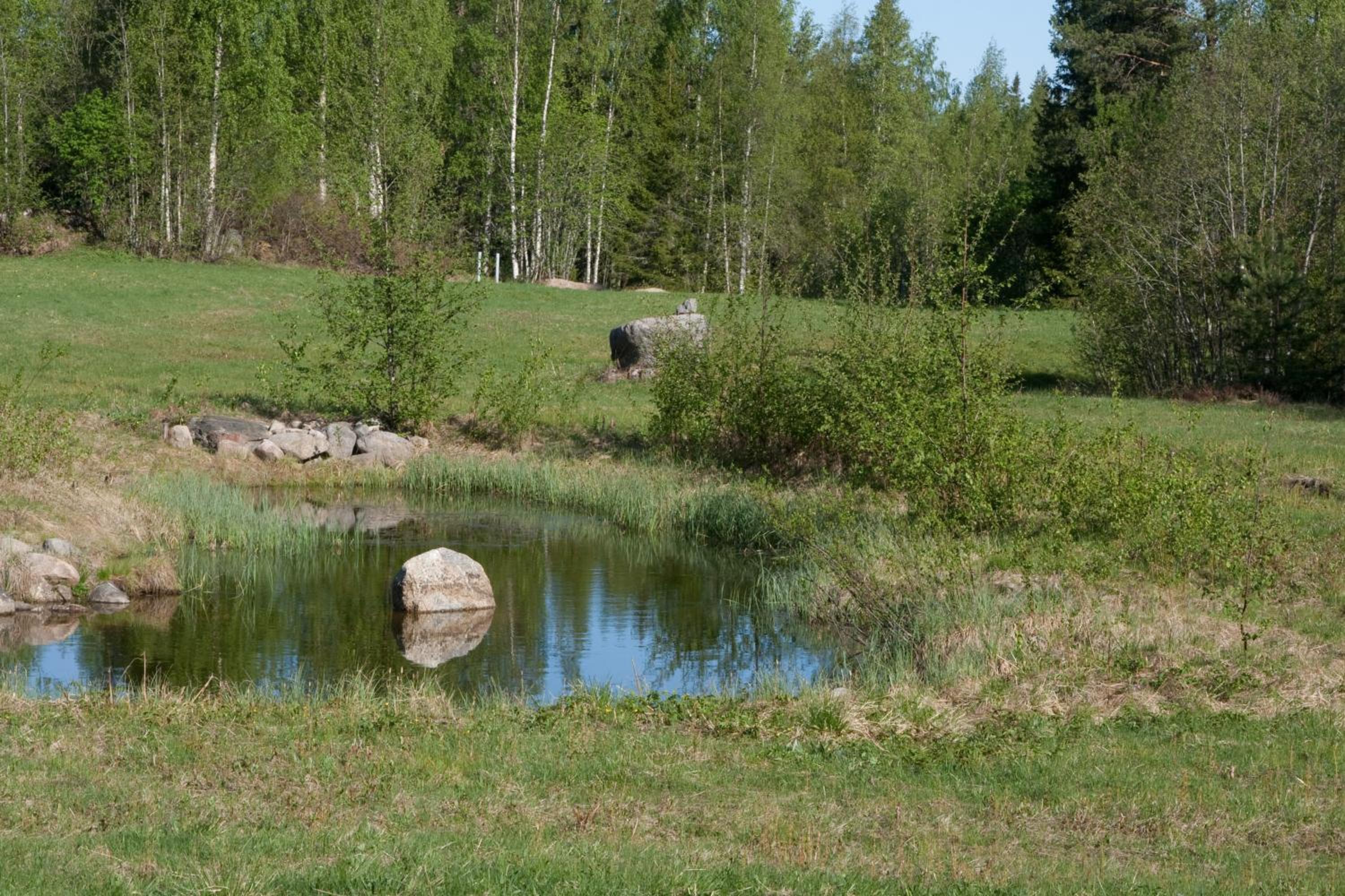Riimantupa