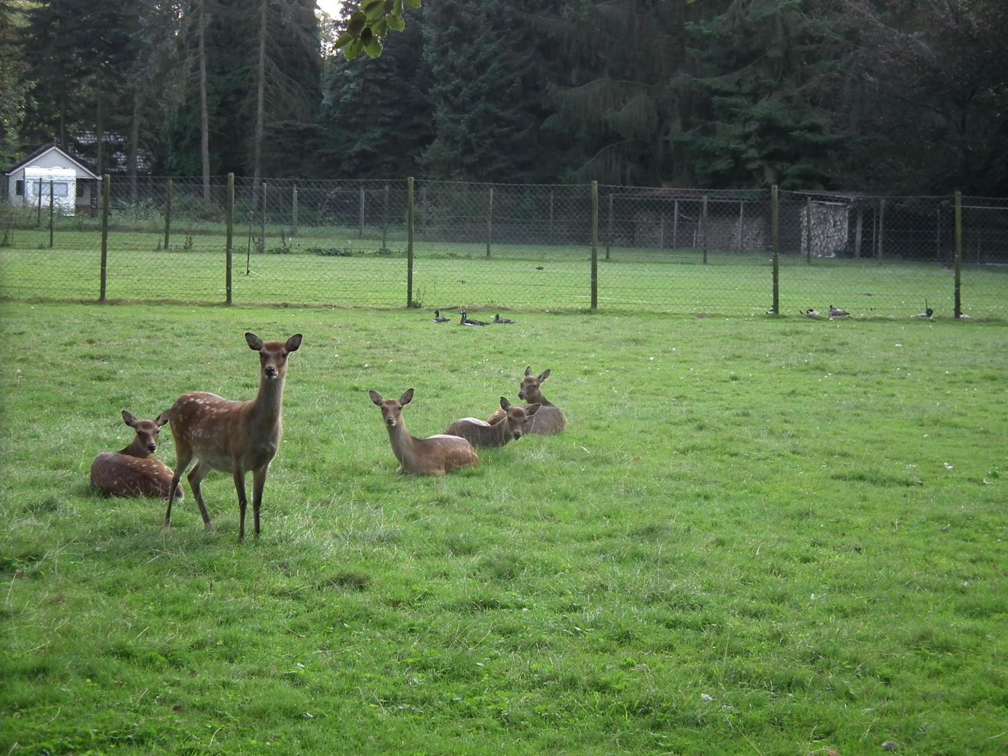Photo 46