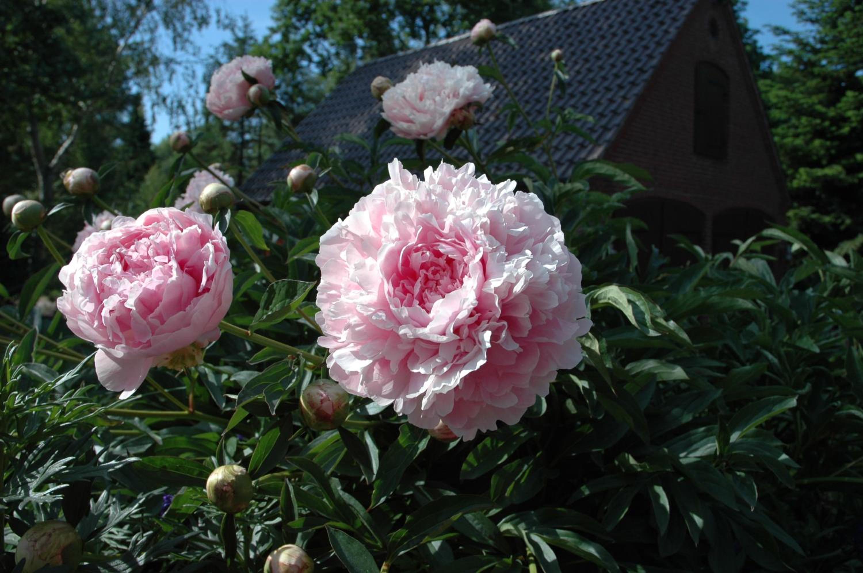 Ferienhaus Humptrup