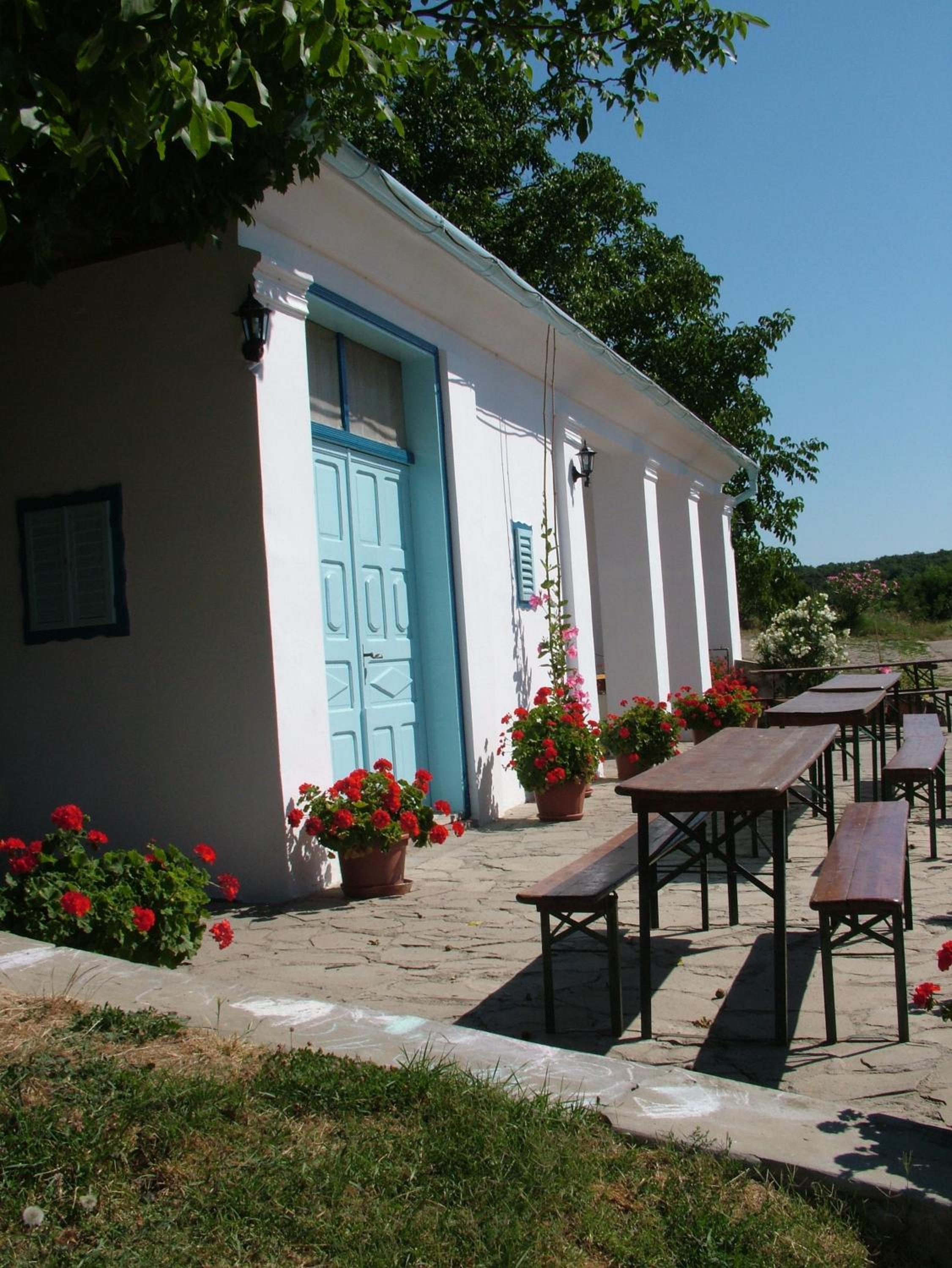 Blum Pince - Borozó Vendégház view 2