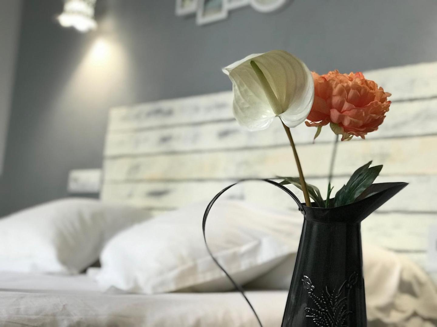 Oasis Backpackers' Toledo