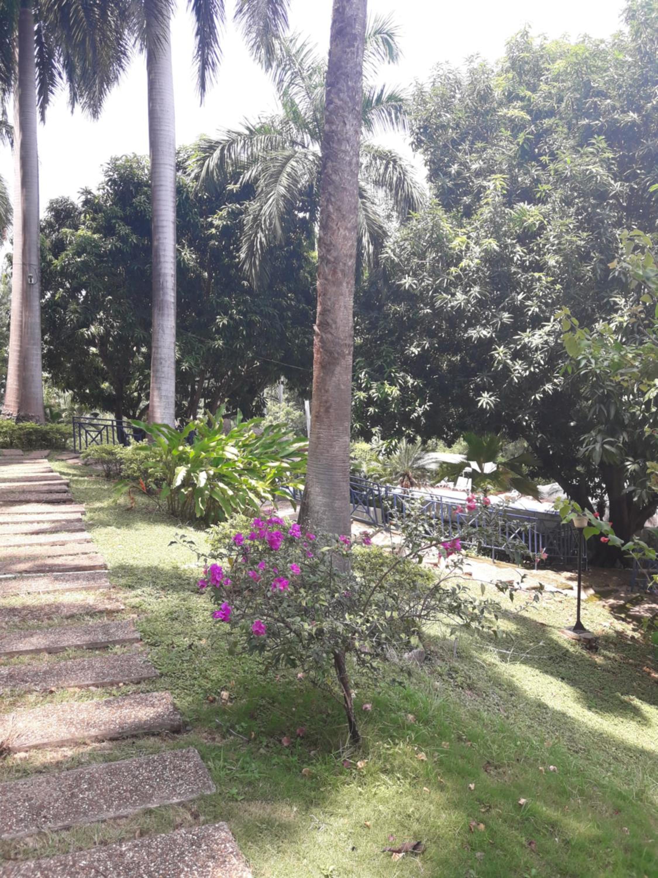 girardot resort apto102, photo 3