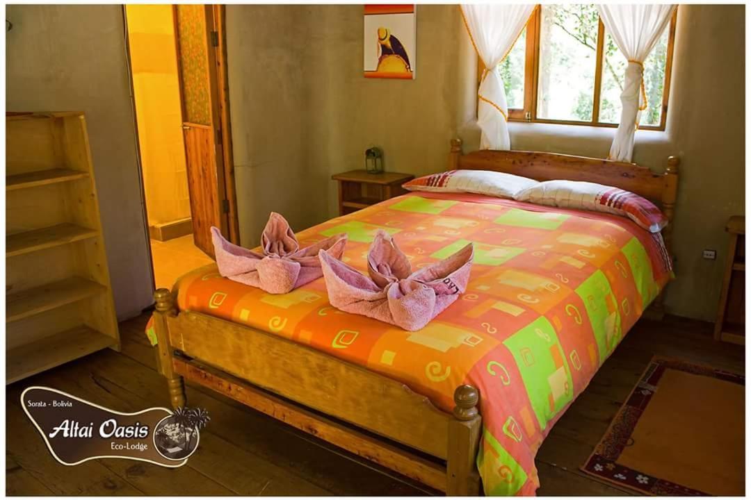 Altai Oasis Lodge