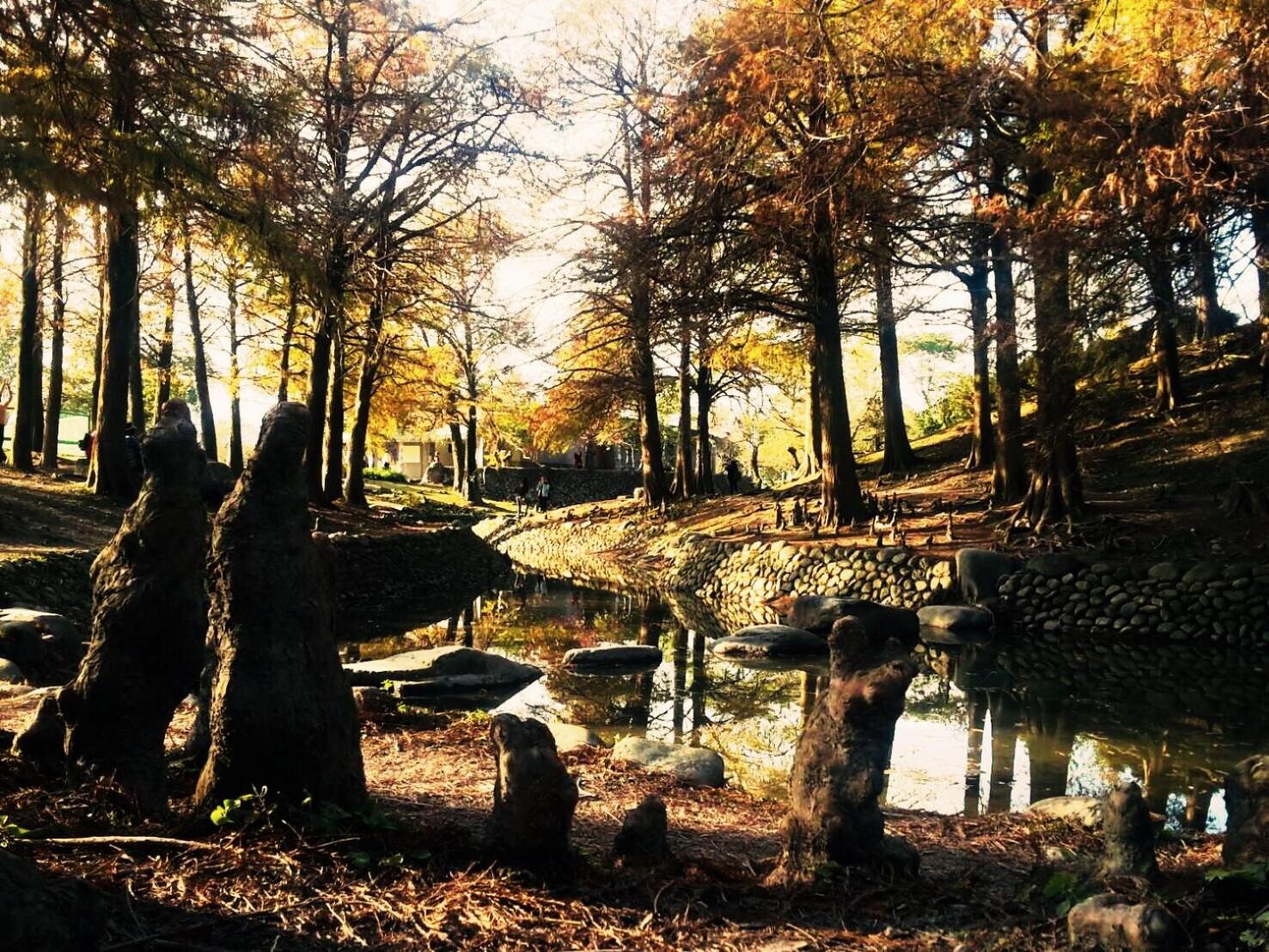 Park 61