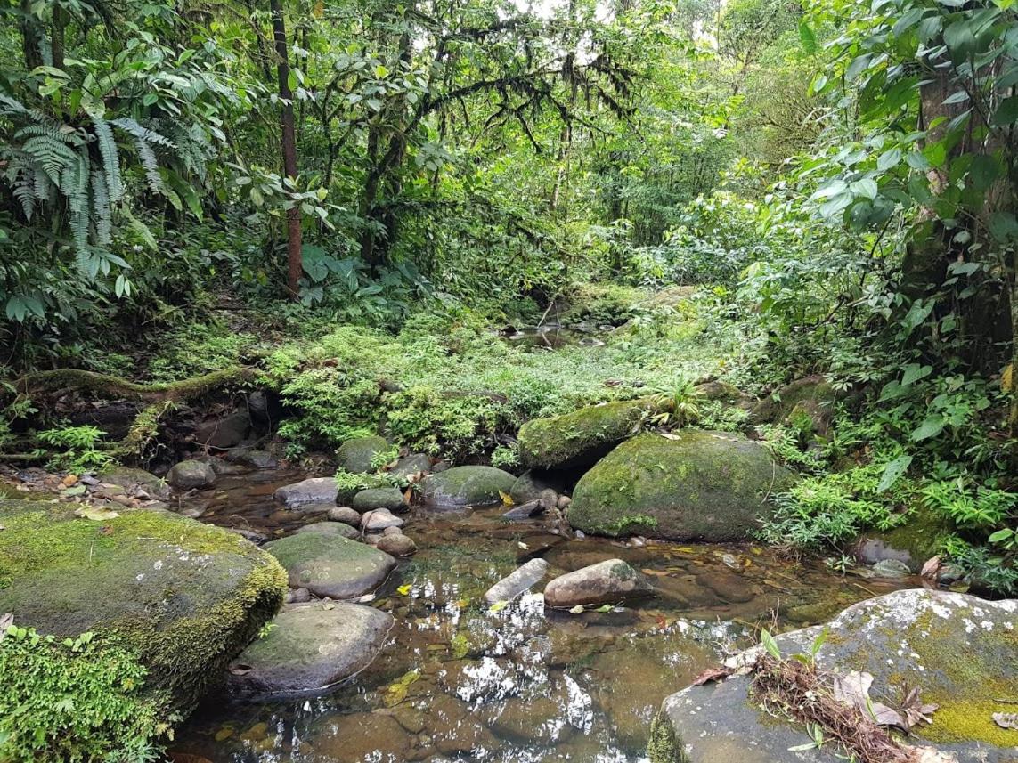 Cabaña Quetzal
