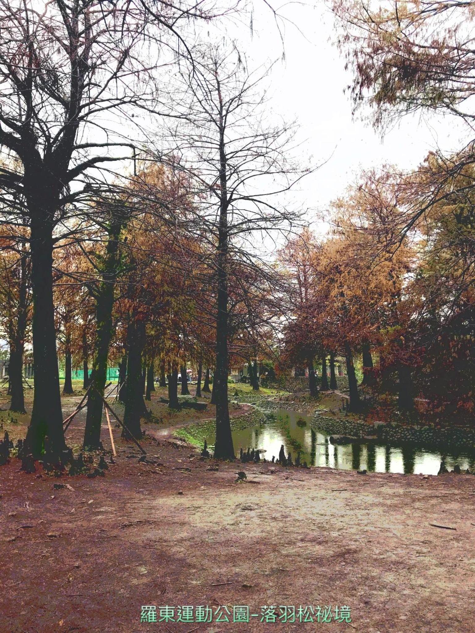 Park 61