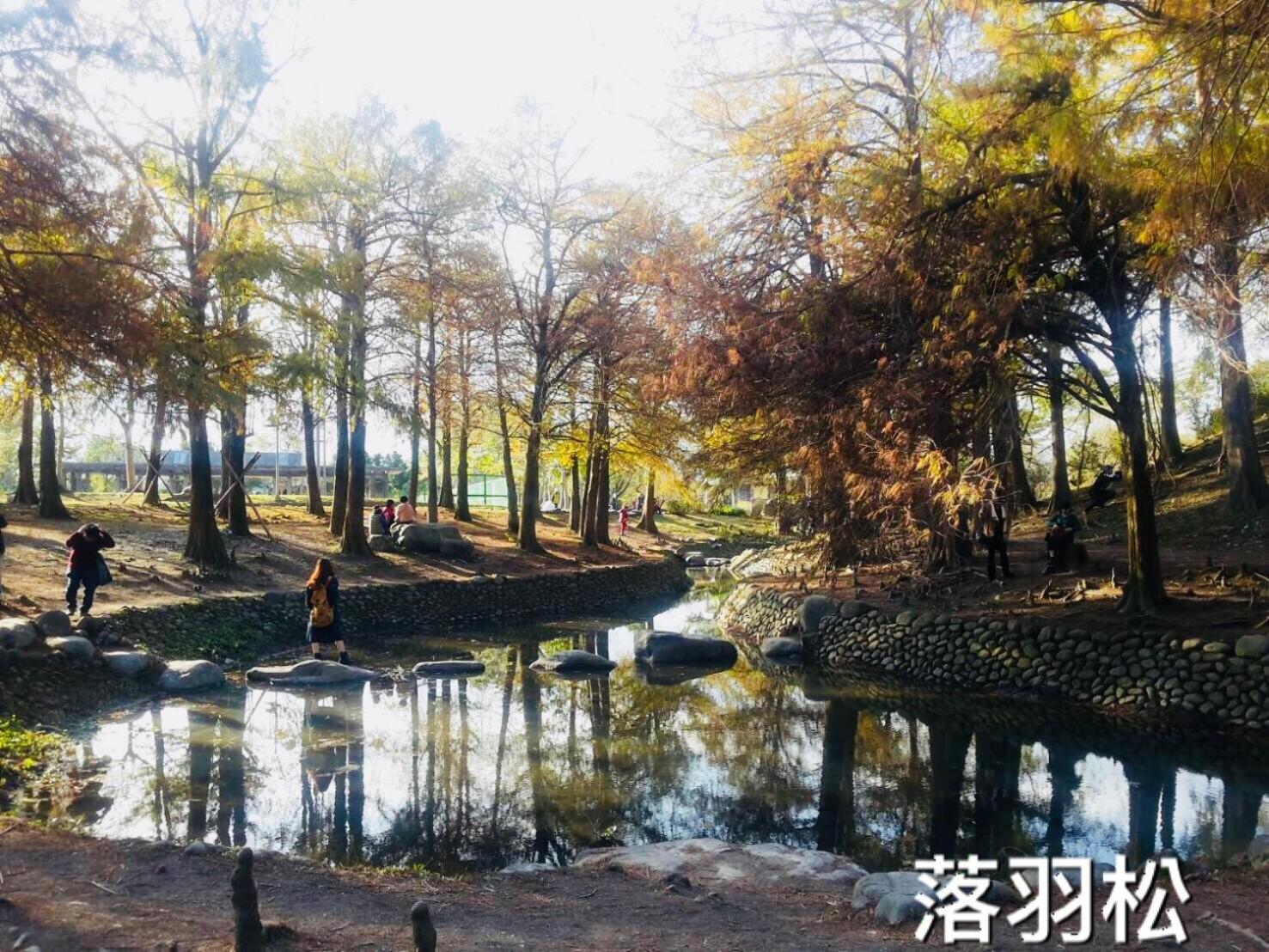 Park 61