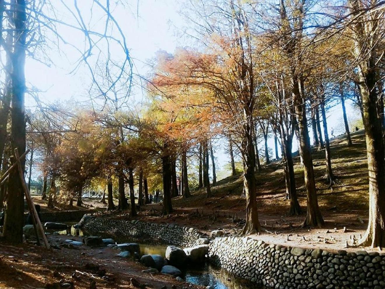 Park 61