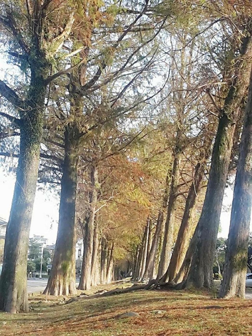 Park 61