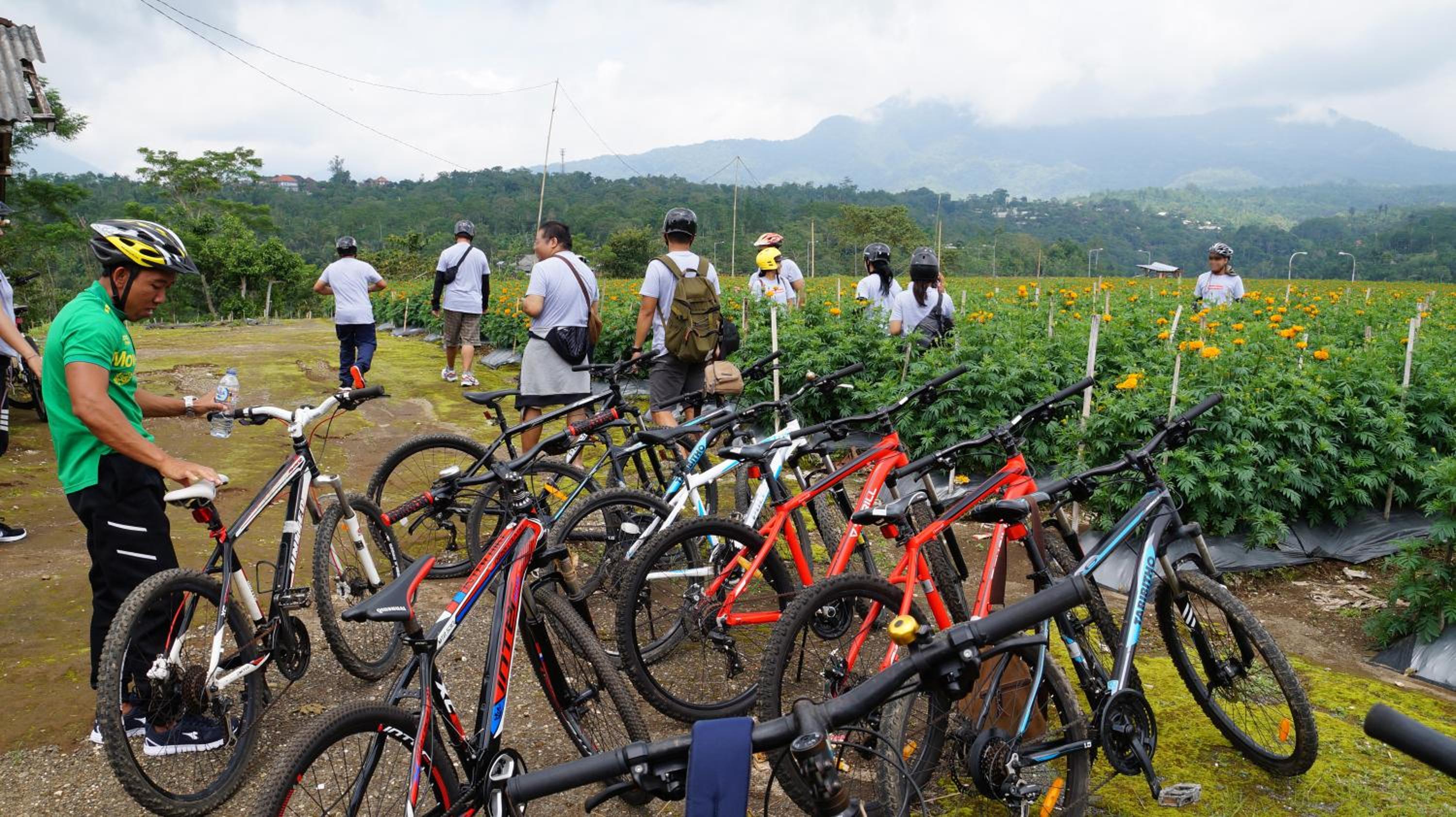Bagus Agro Pelaga