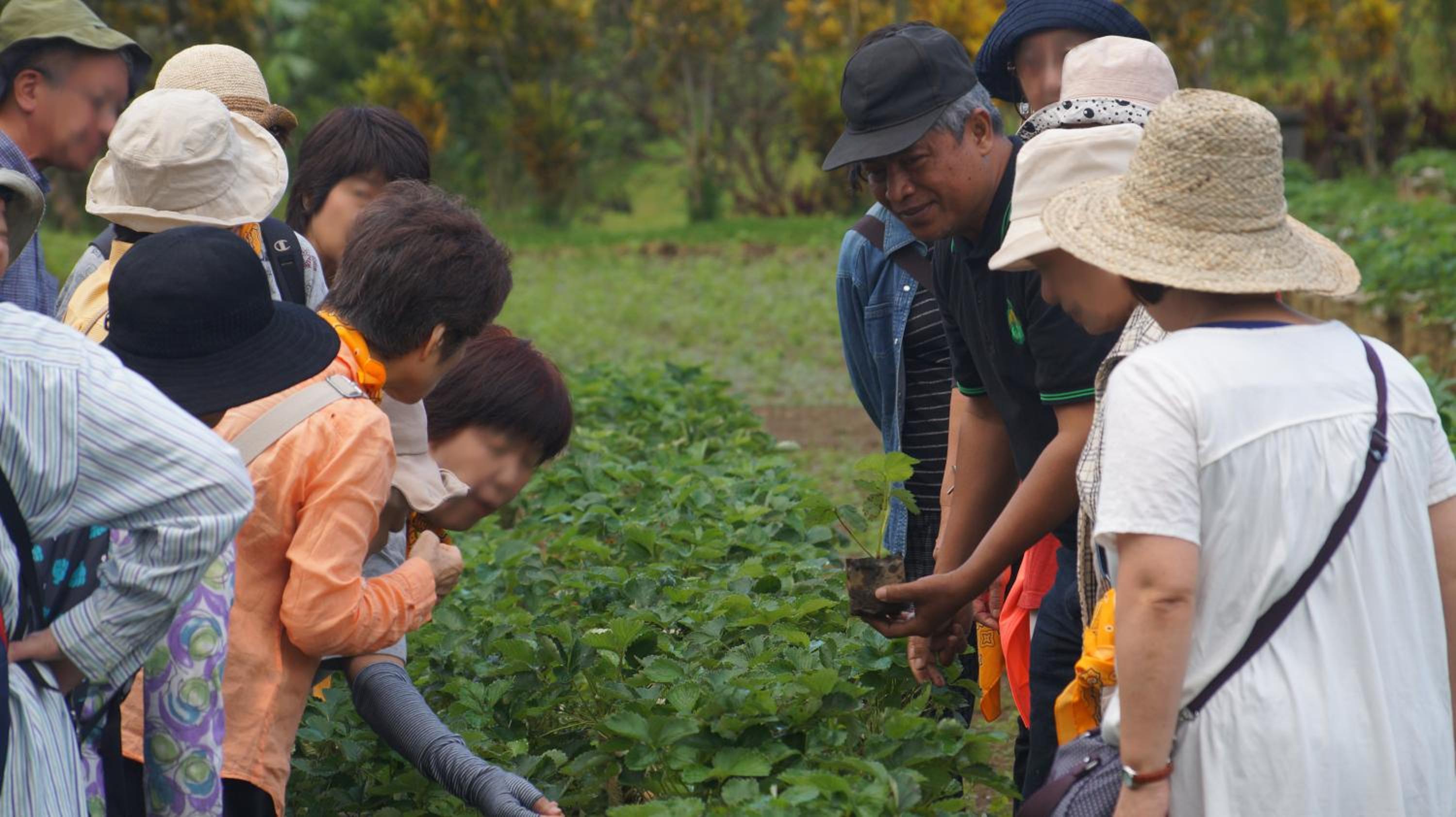 Bagus Agro Pelaga