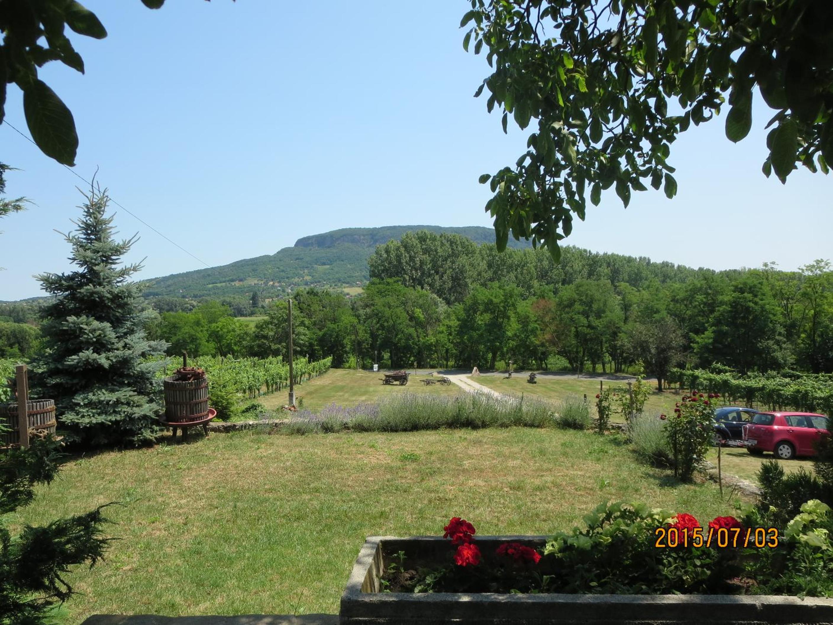 Güns Vendégház view 5