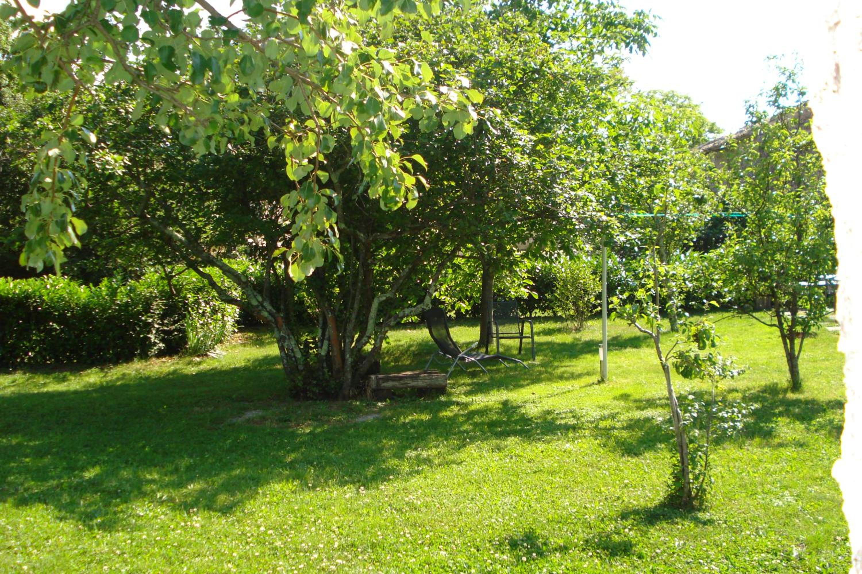 Apartmani Aldo view 4