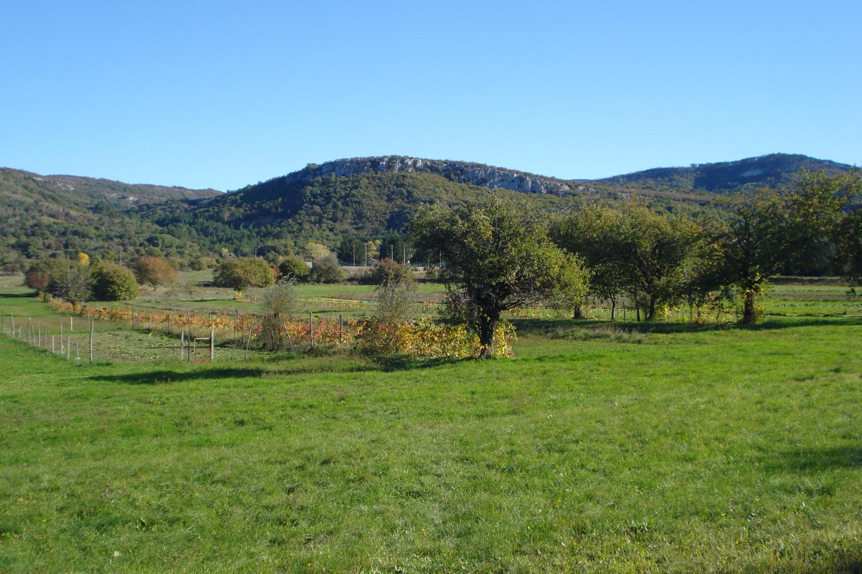 Apartmani Aldo view 2